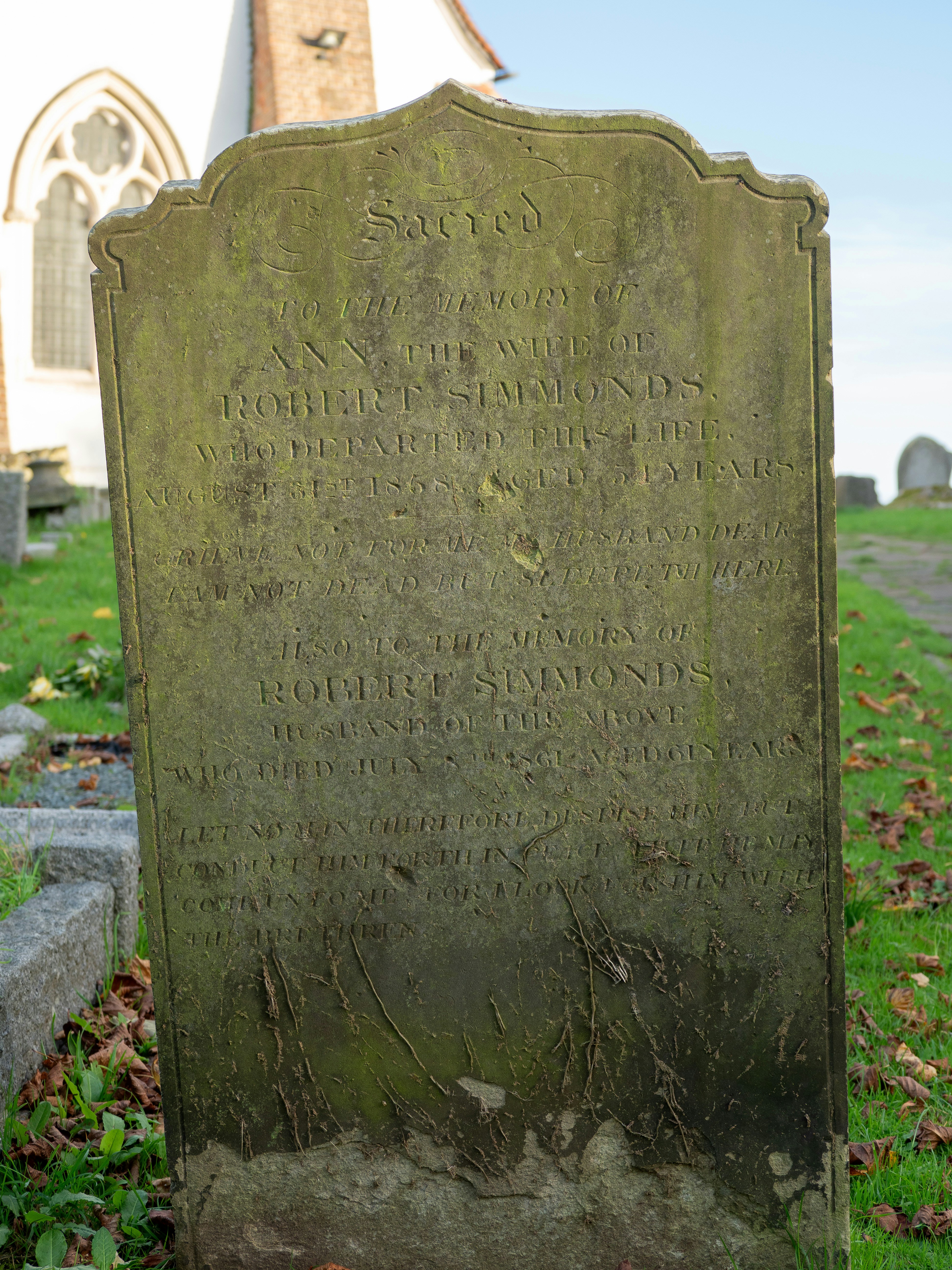 Photo by brett_jordan