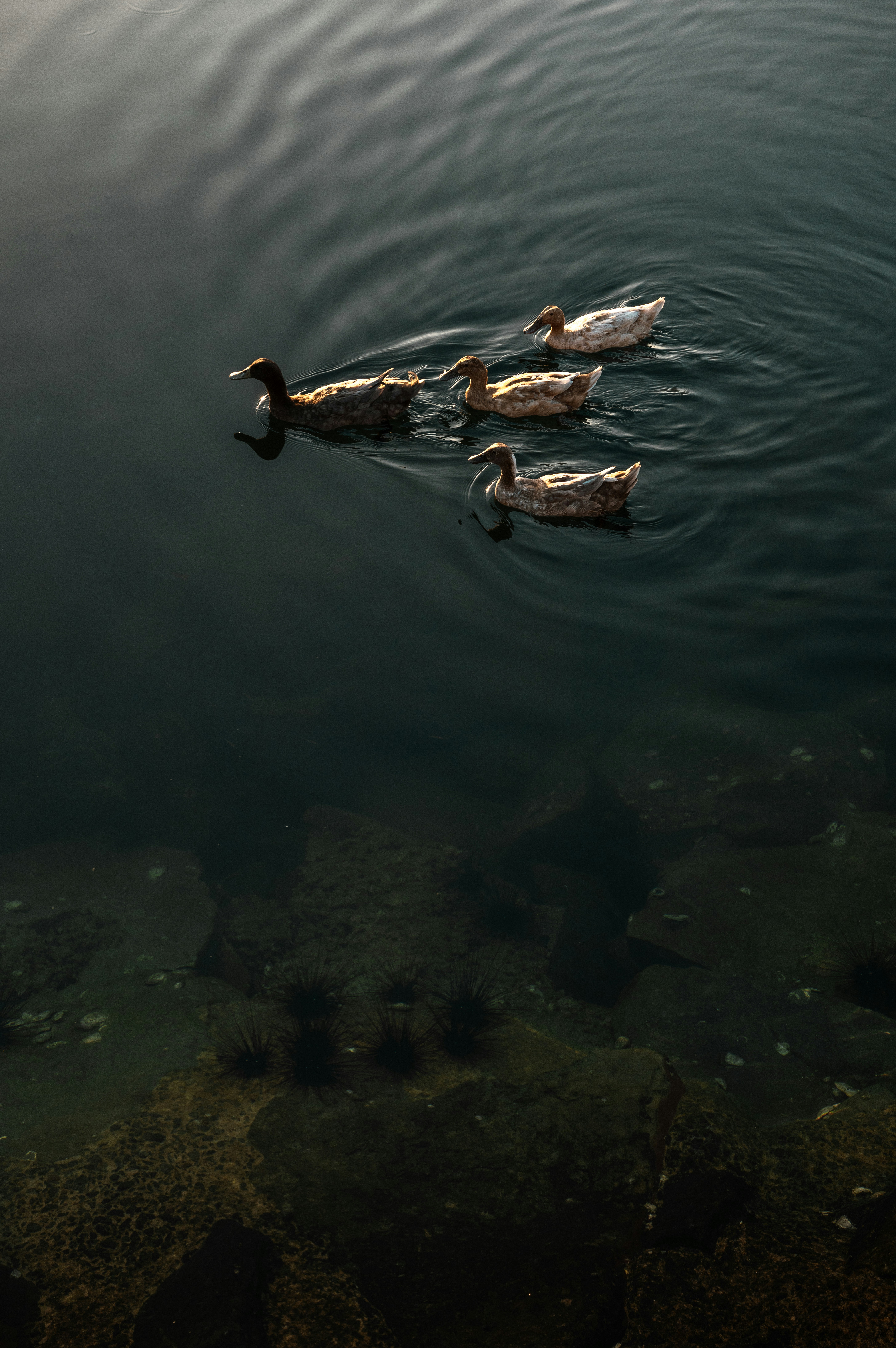 Photo by dynamicwang