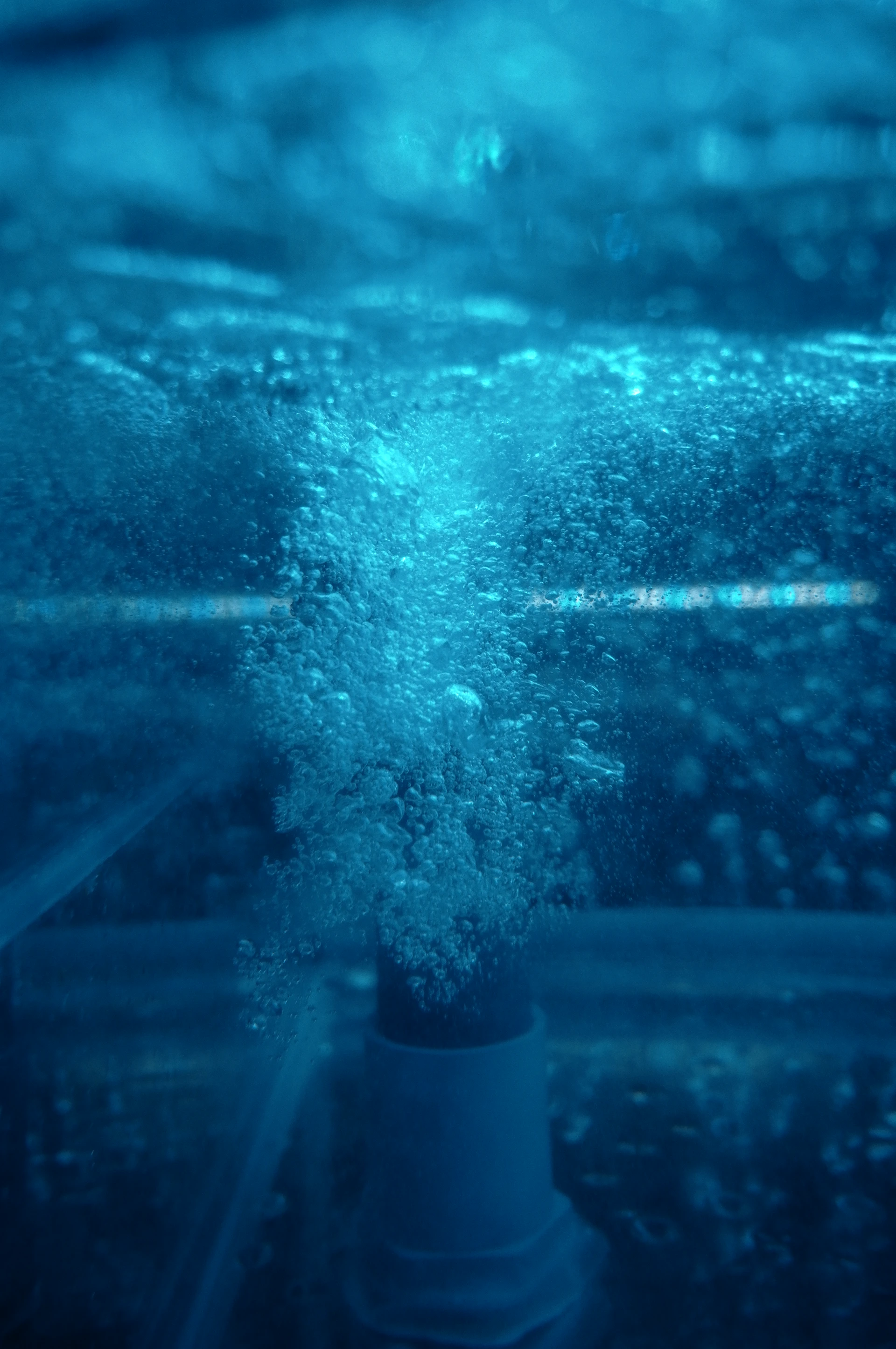 A close up of a blue bottle under water