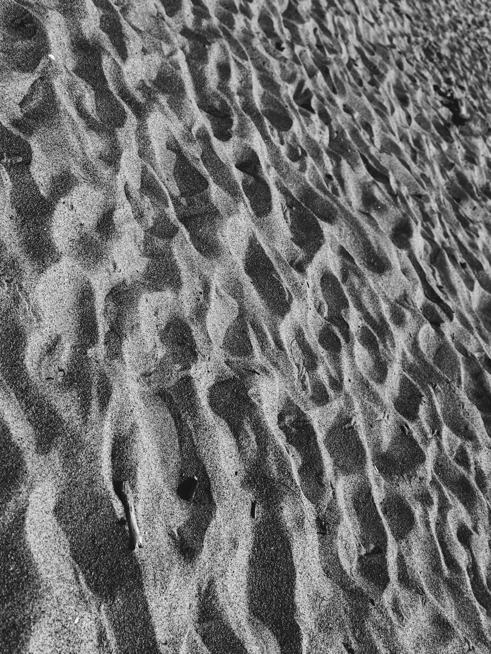 Close-up view of sandy beach with visible grains and textured sand from low angle