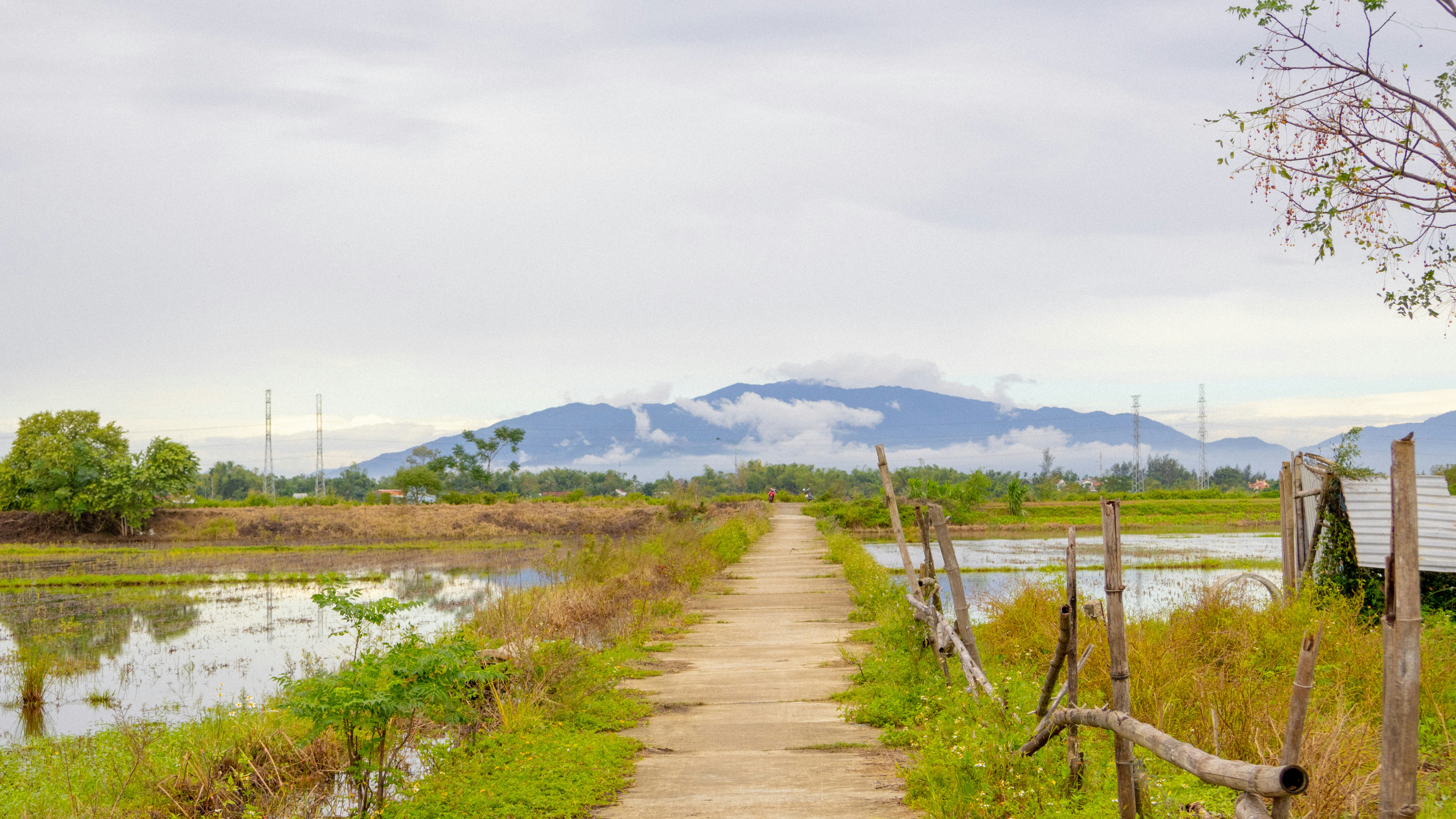 Photo by nguyenlethaison