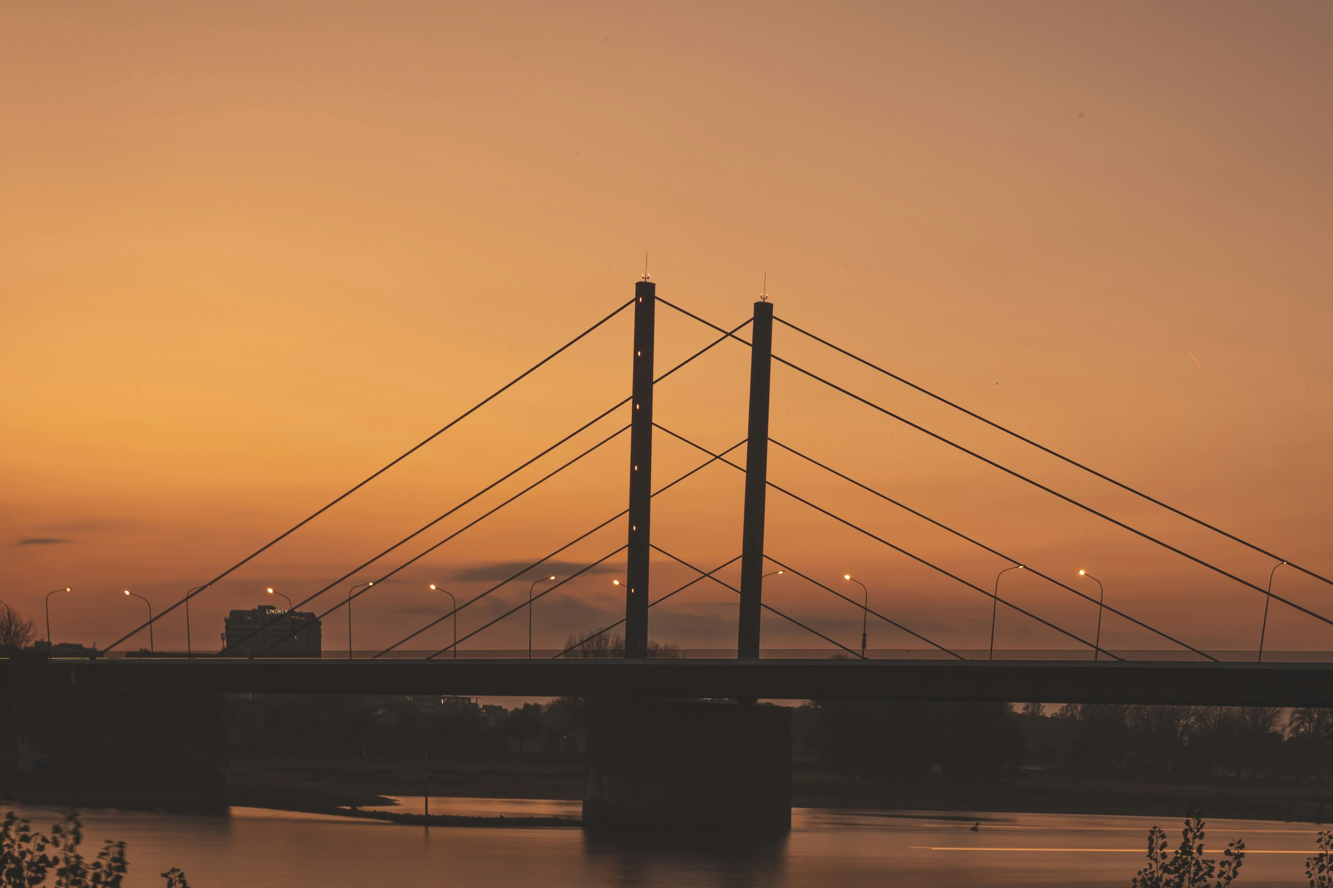 Photo by gnomezgrave