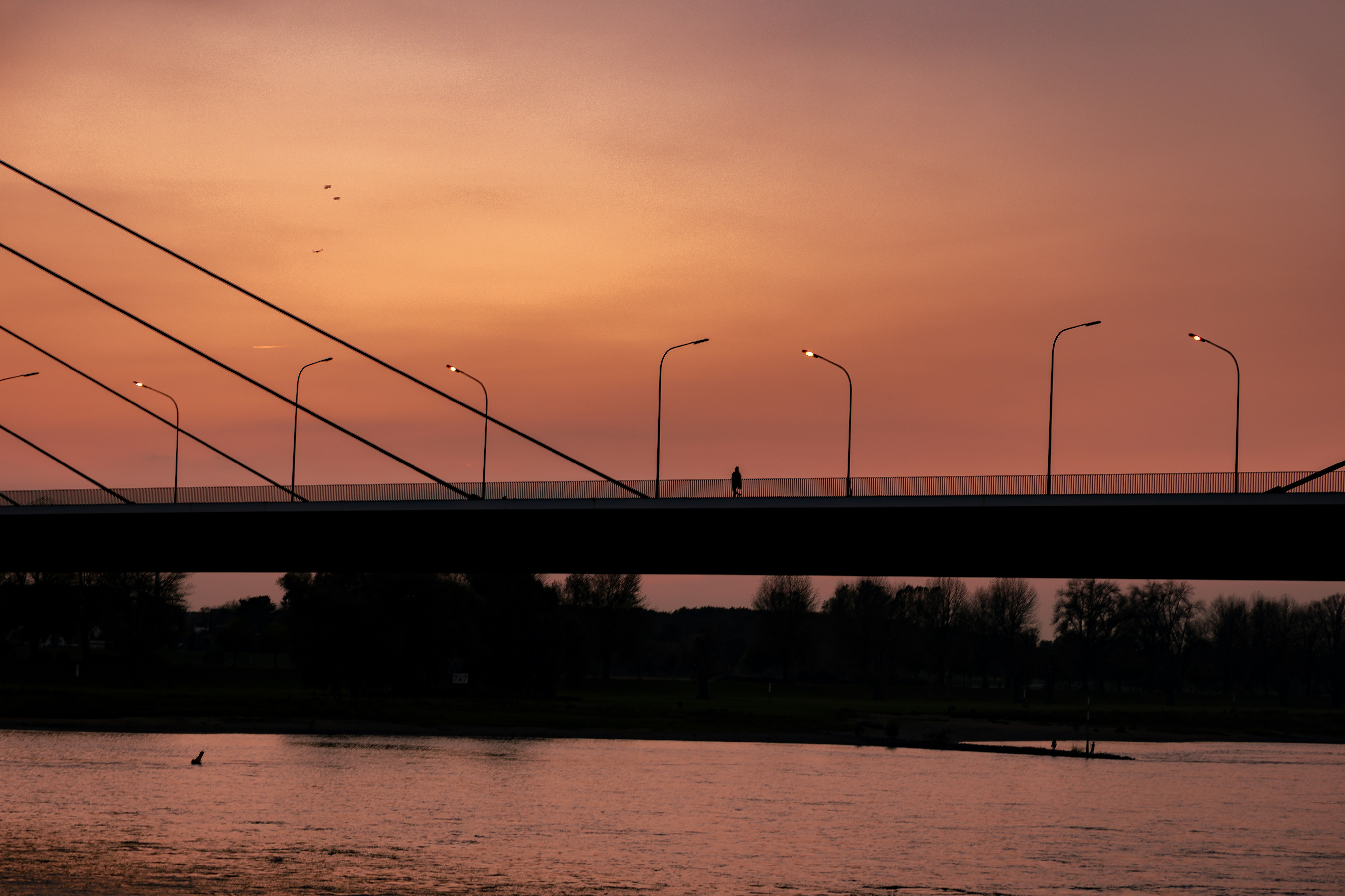 Photo by gnomezgrave