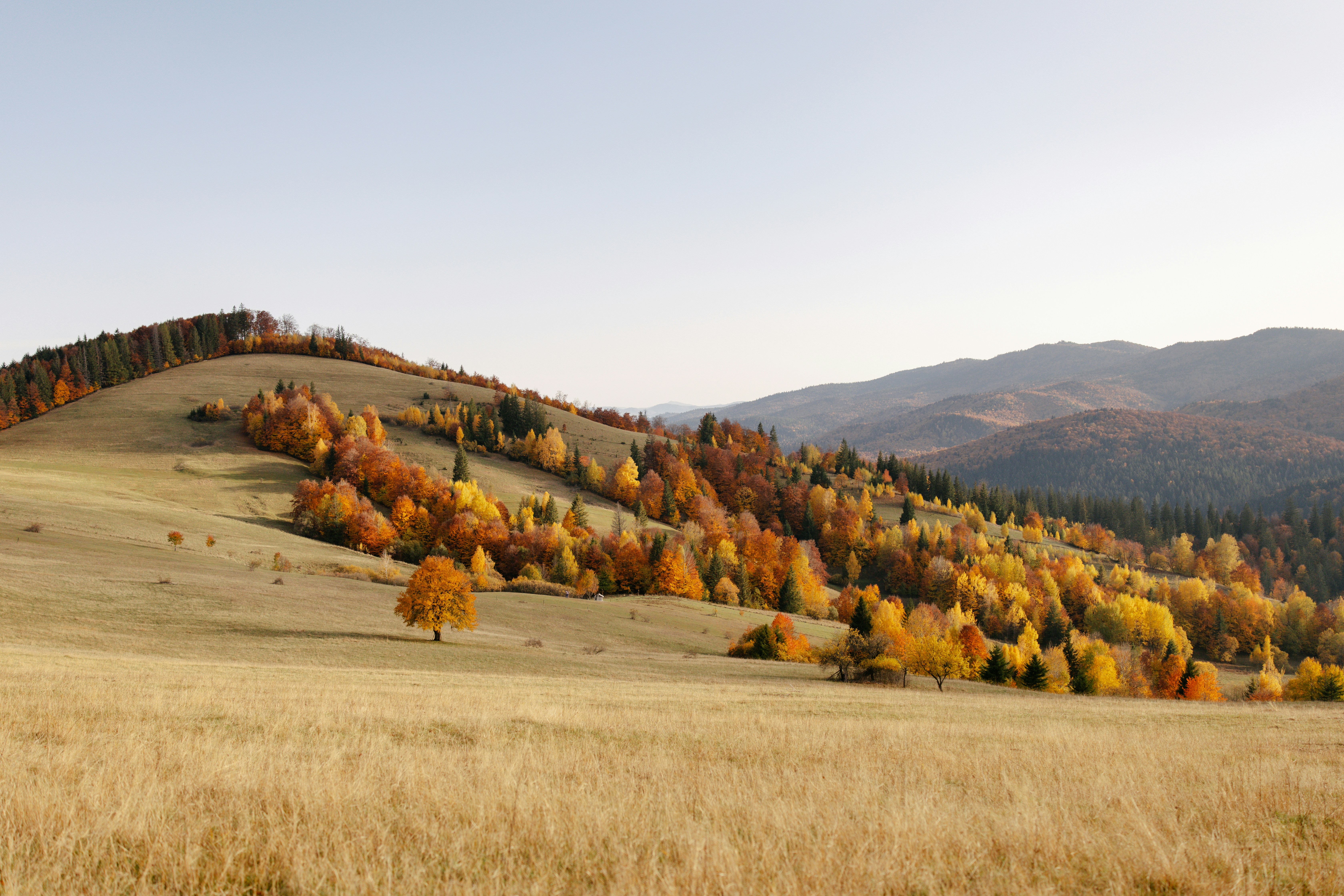 A field with a hill in the background
