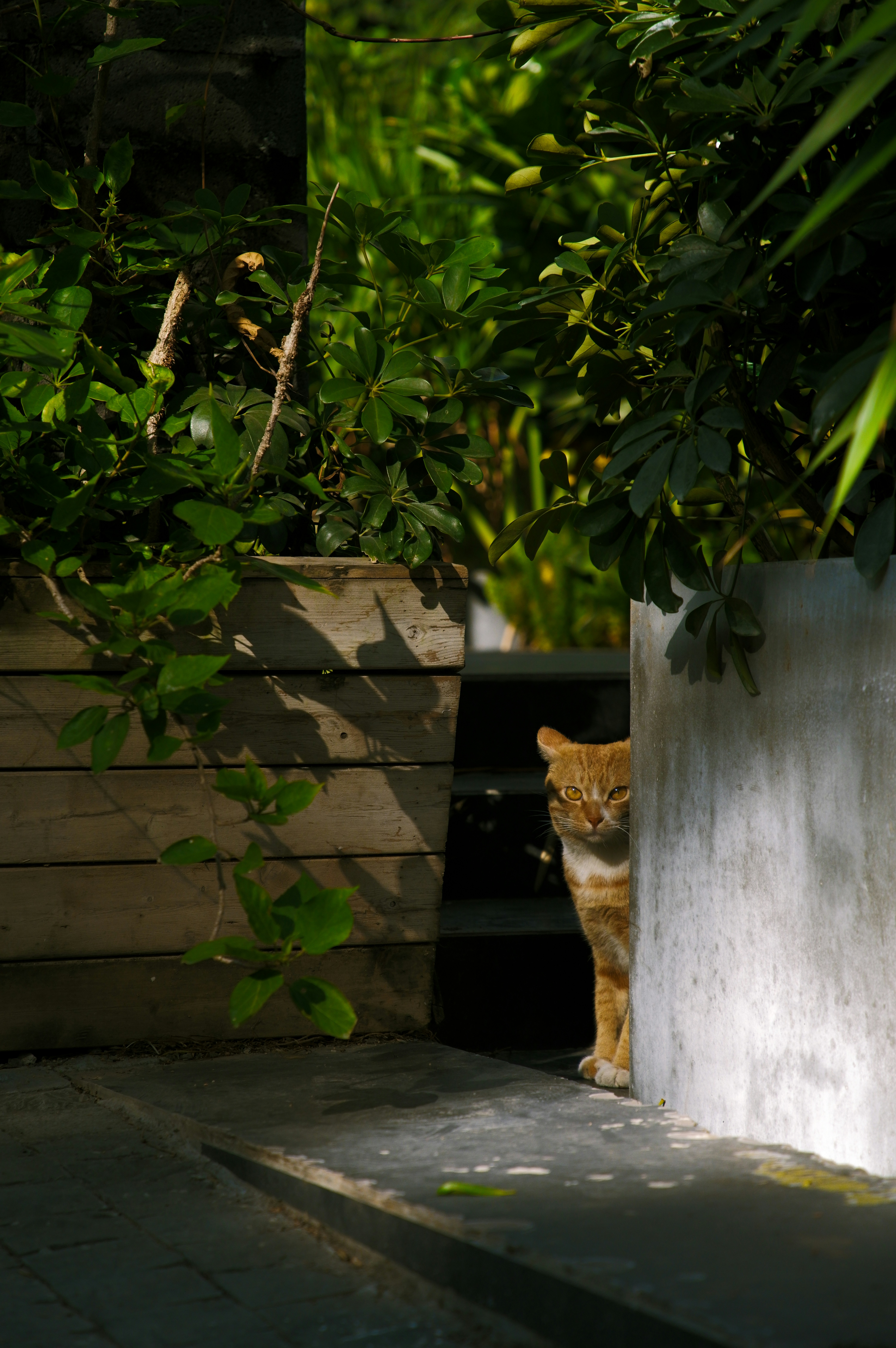 Photo by dynamicwang