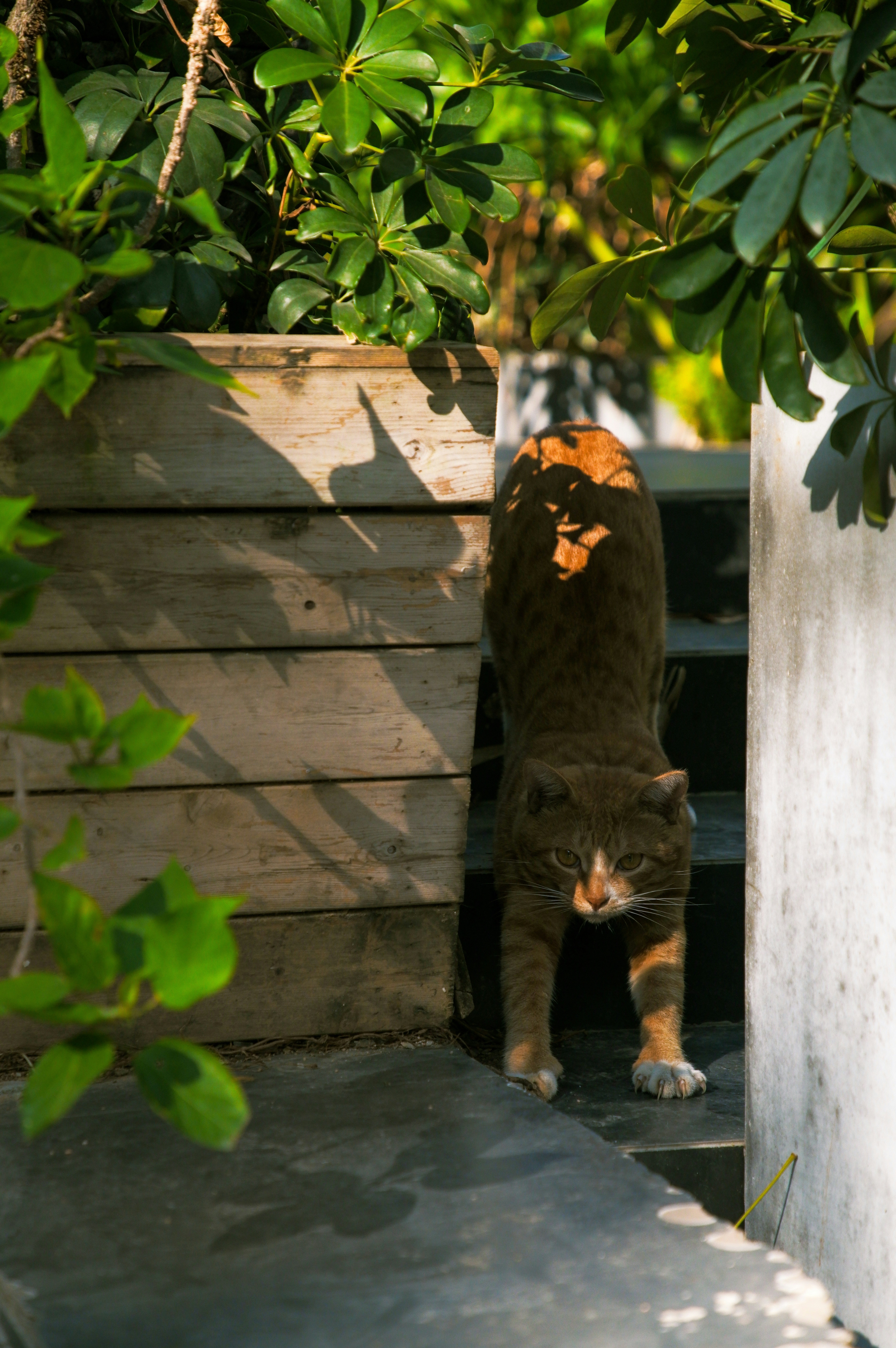 Photo by dynamicwang