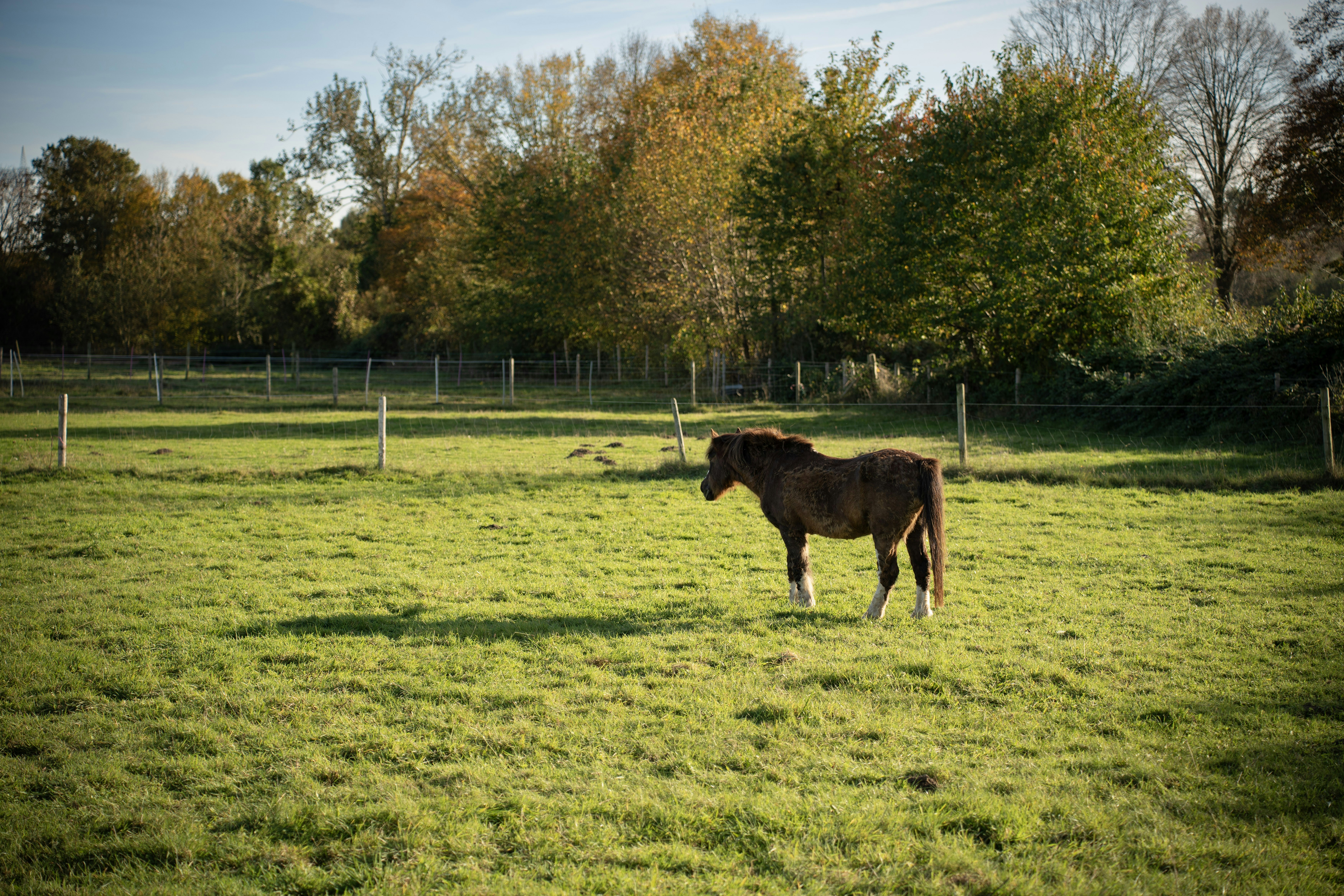 Photo by sorinbasangeac