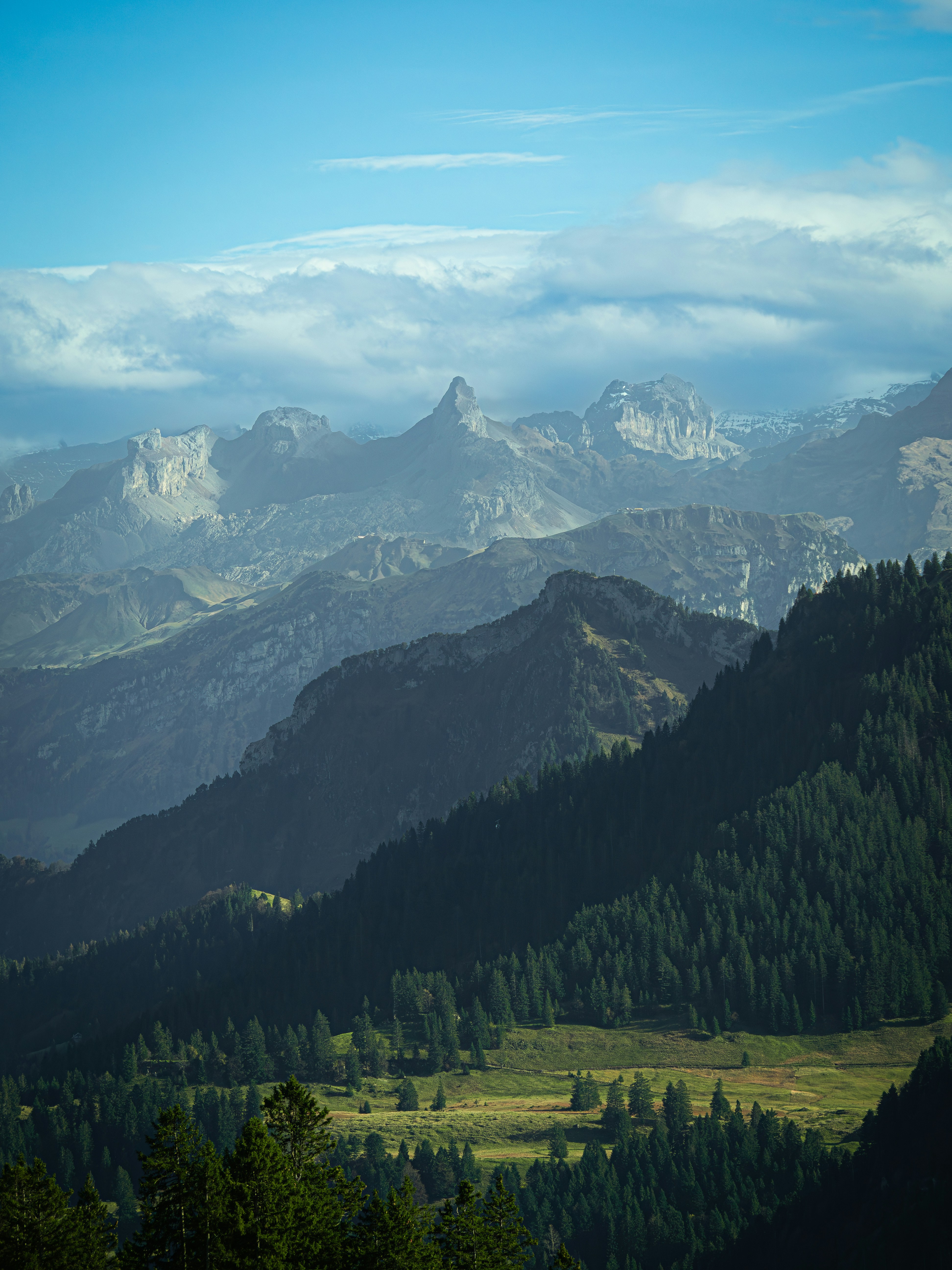 Photo by poli_graphy