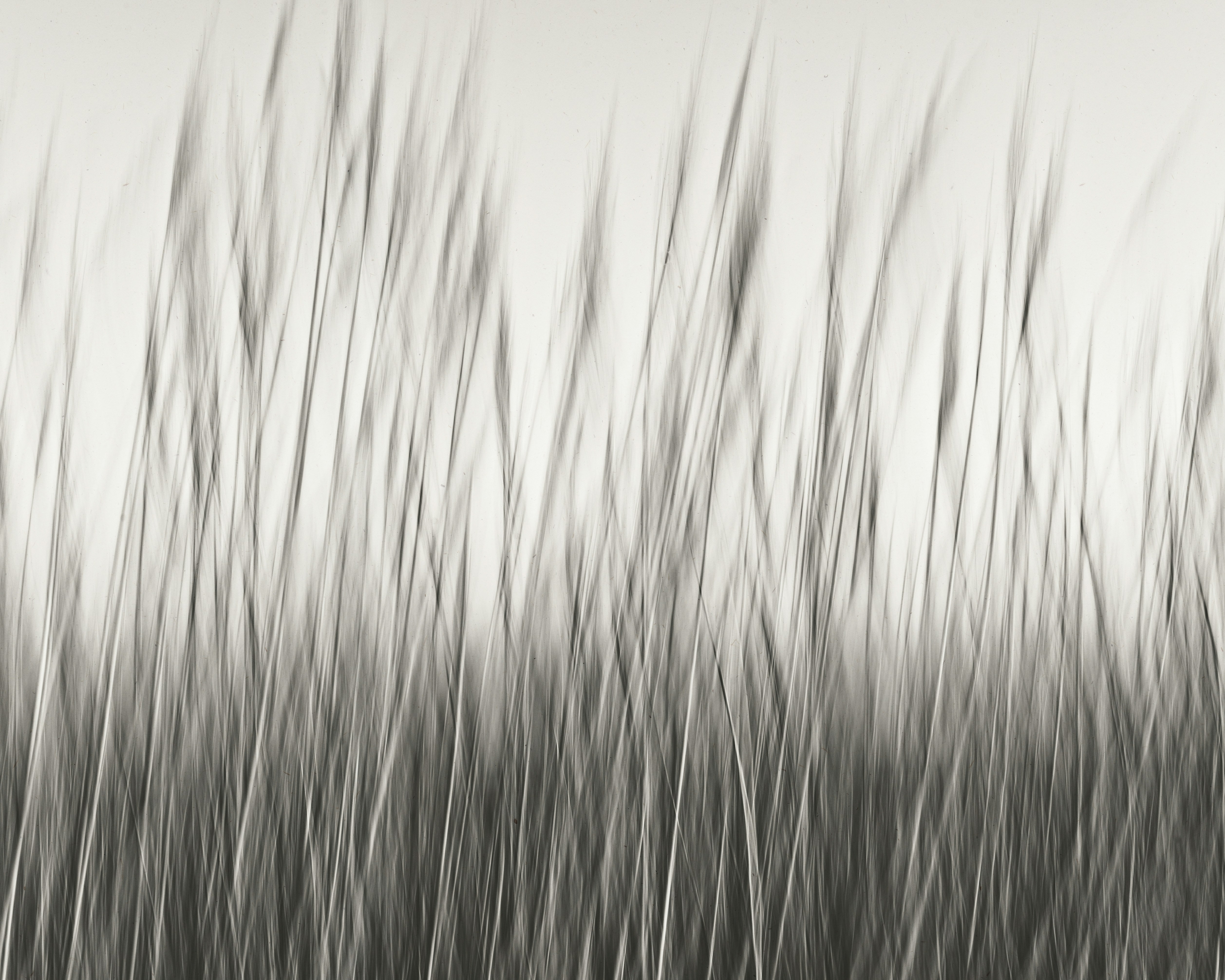 Photo by robert_clark