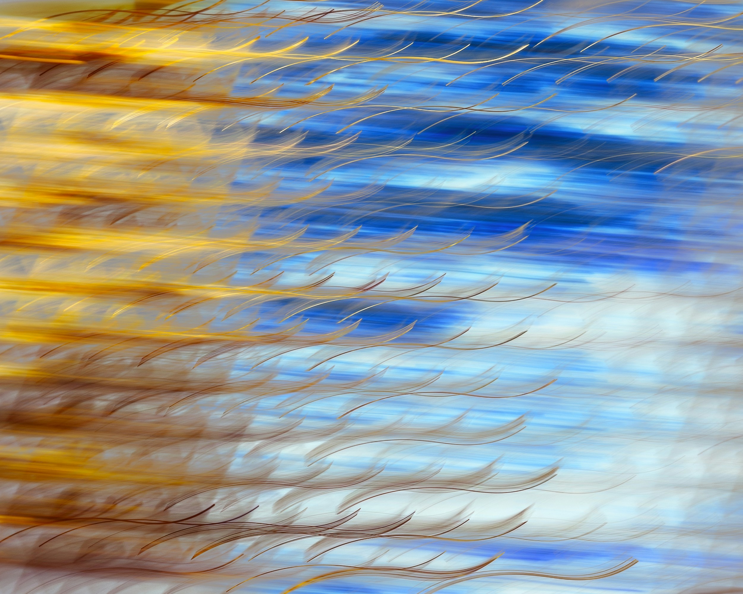 Photo by robert_clark