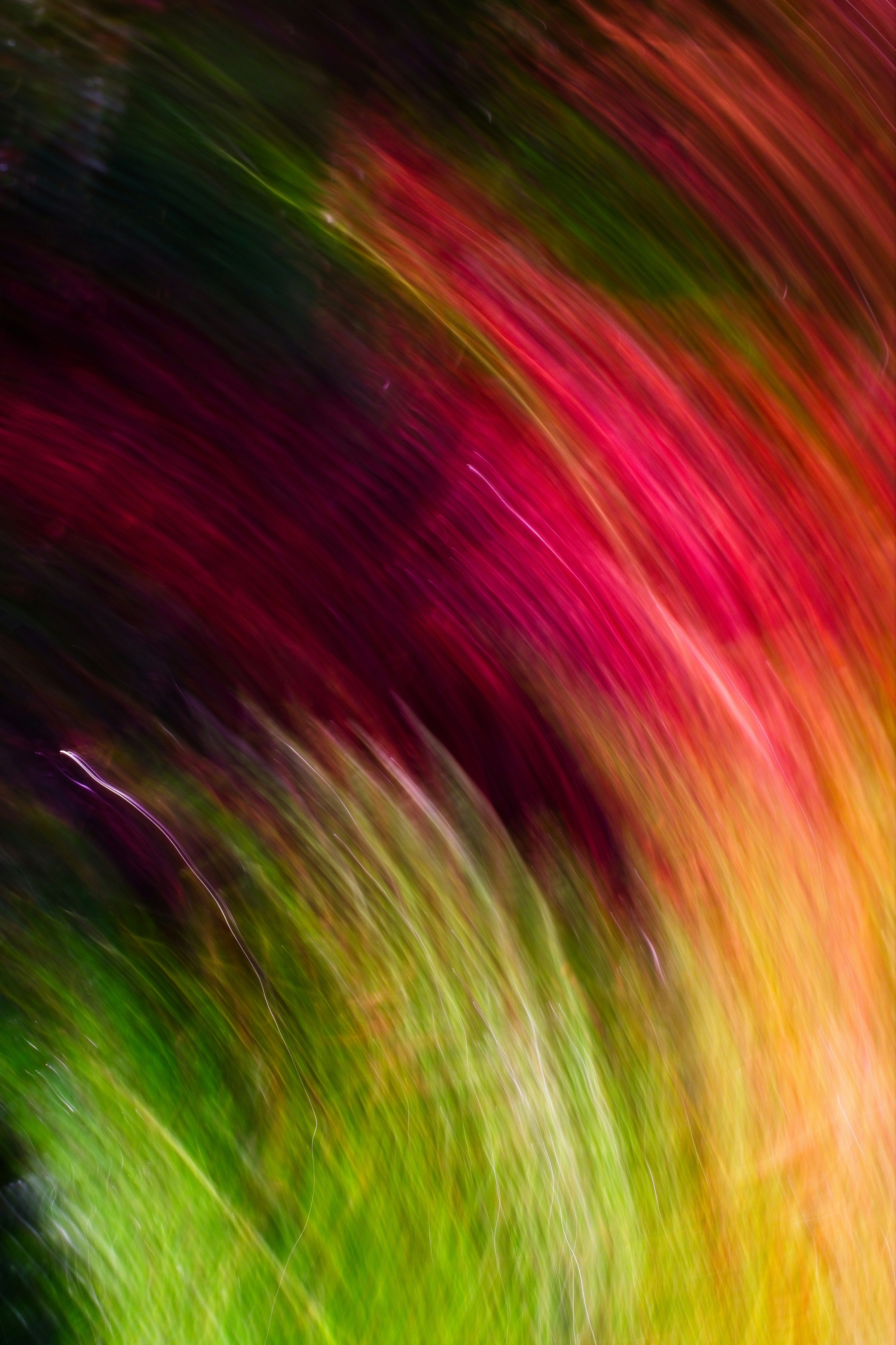 Photo by robert_clark