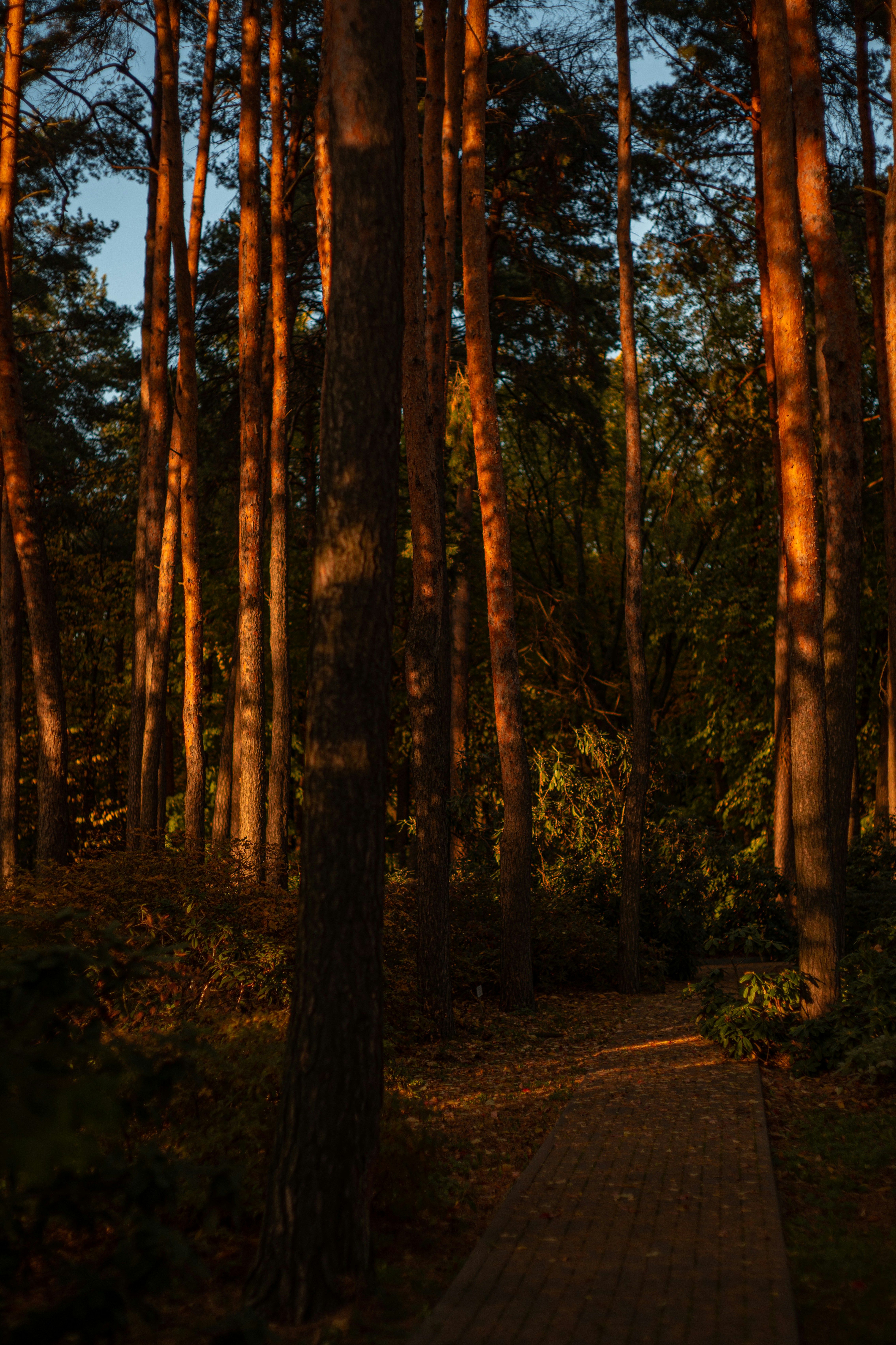 Photo by art_almighty