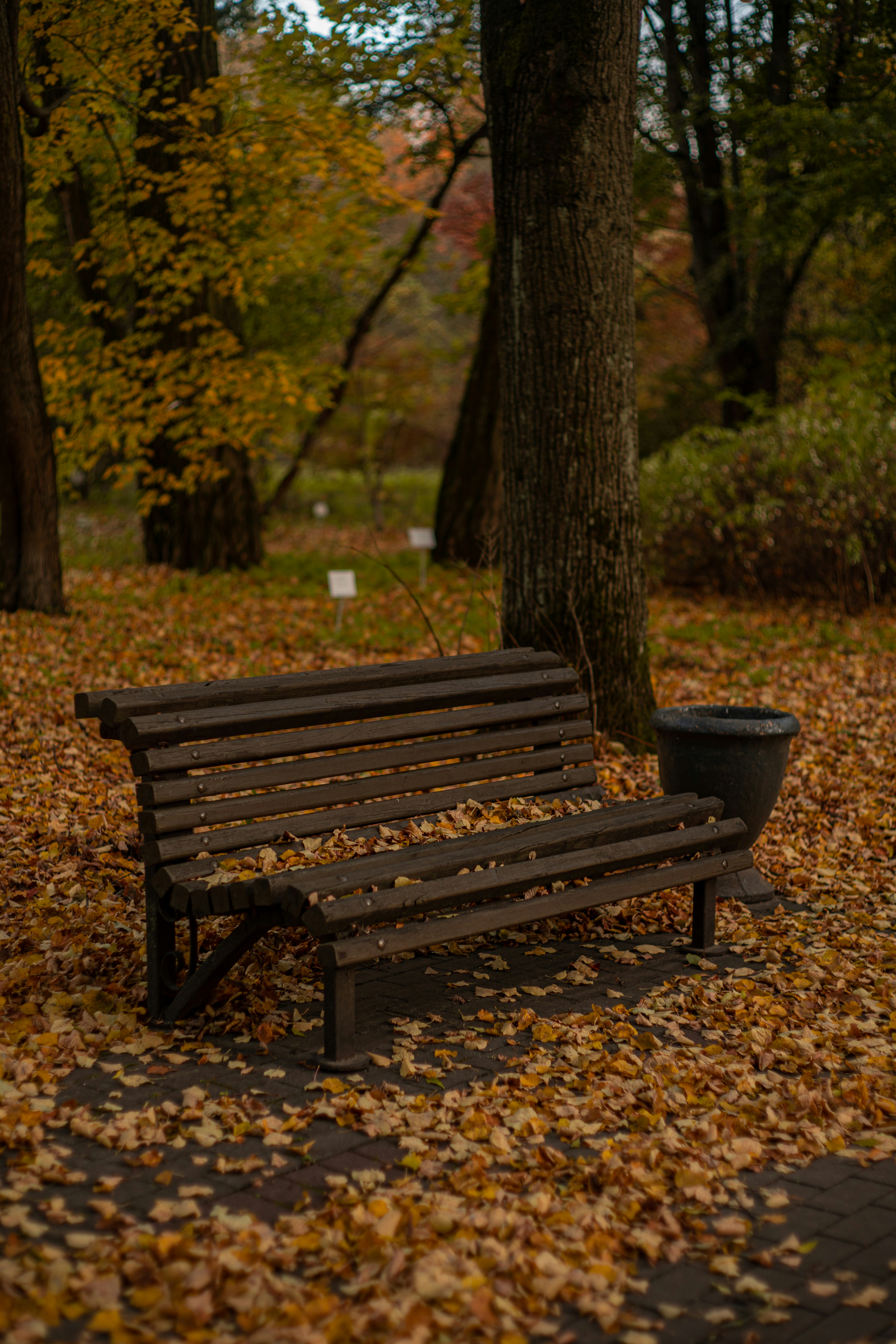 Photo by art_almighty