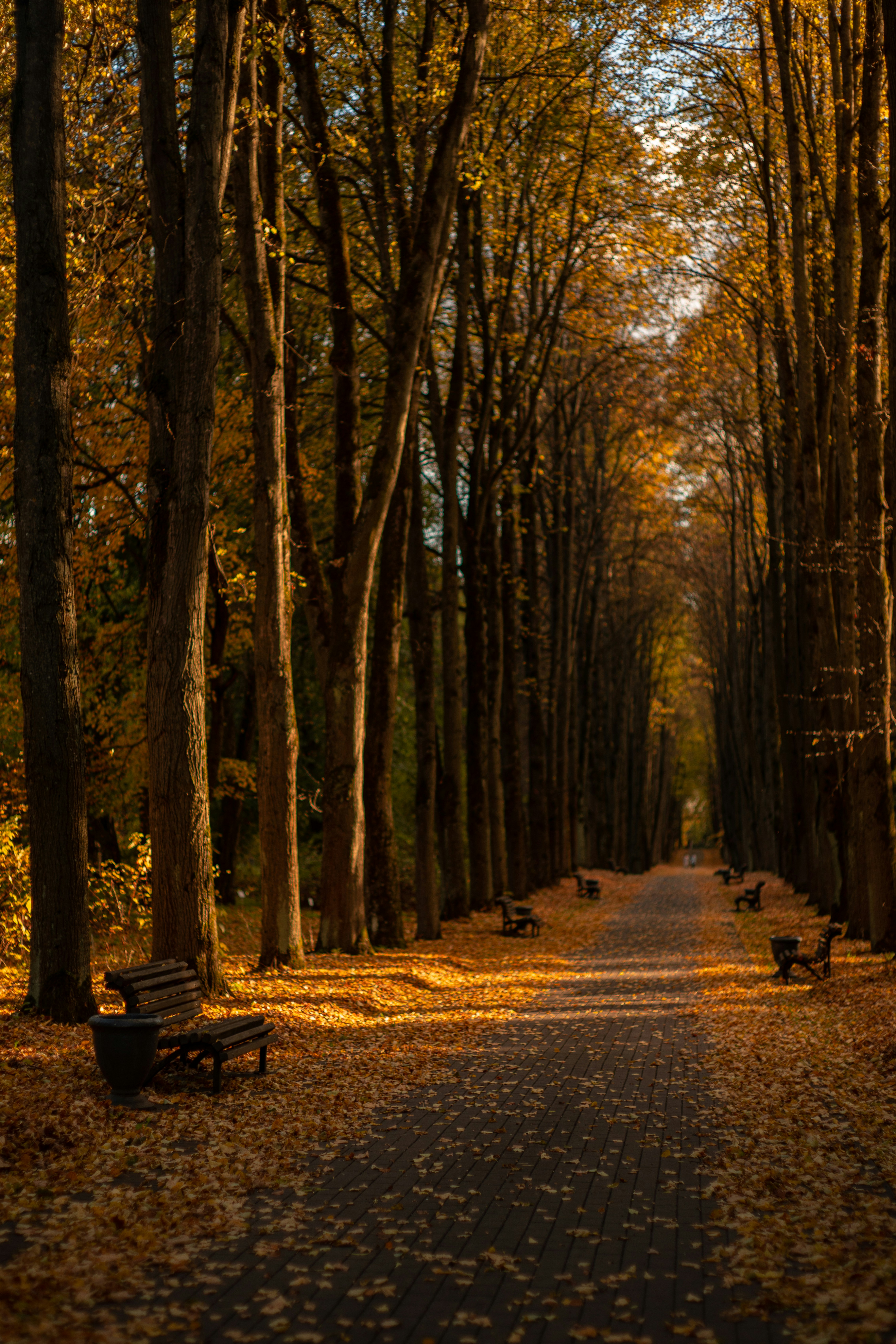 Photo by art_almighty