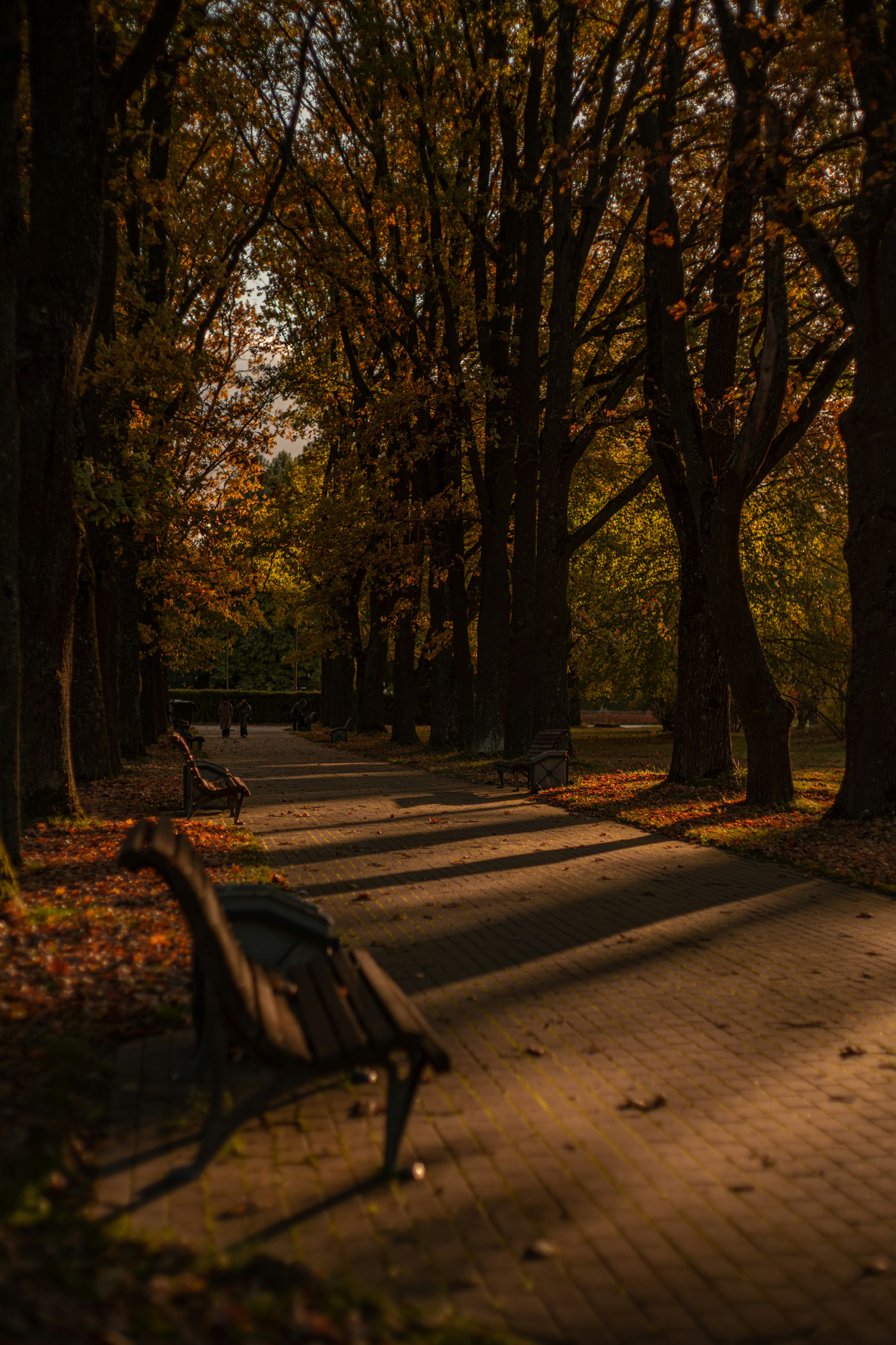 Photo by art_almighty