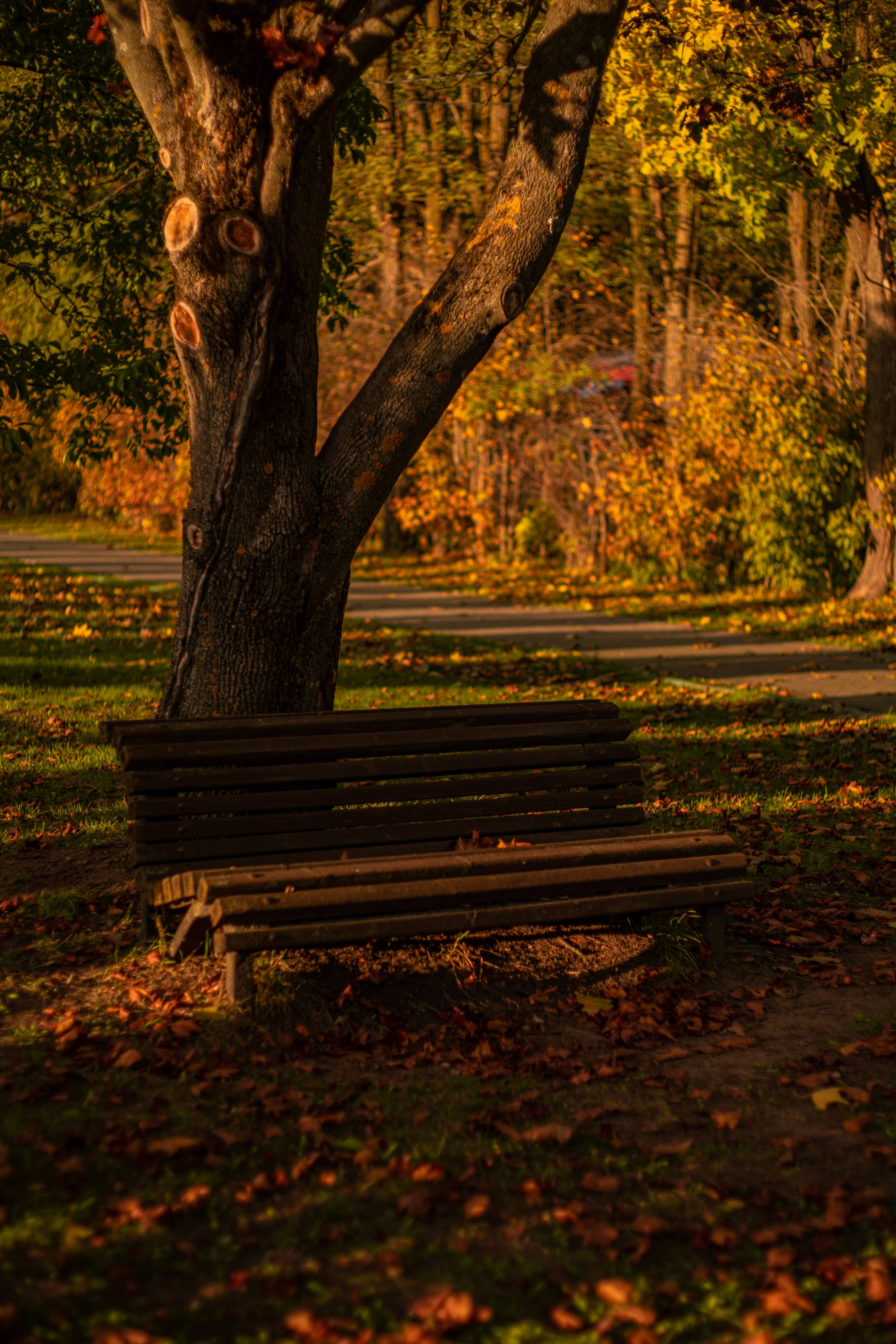 Photo by art_almighty