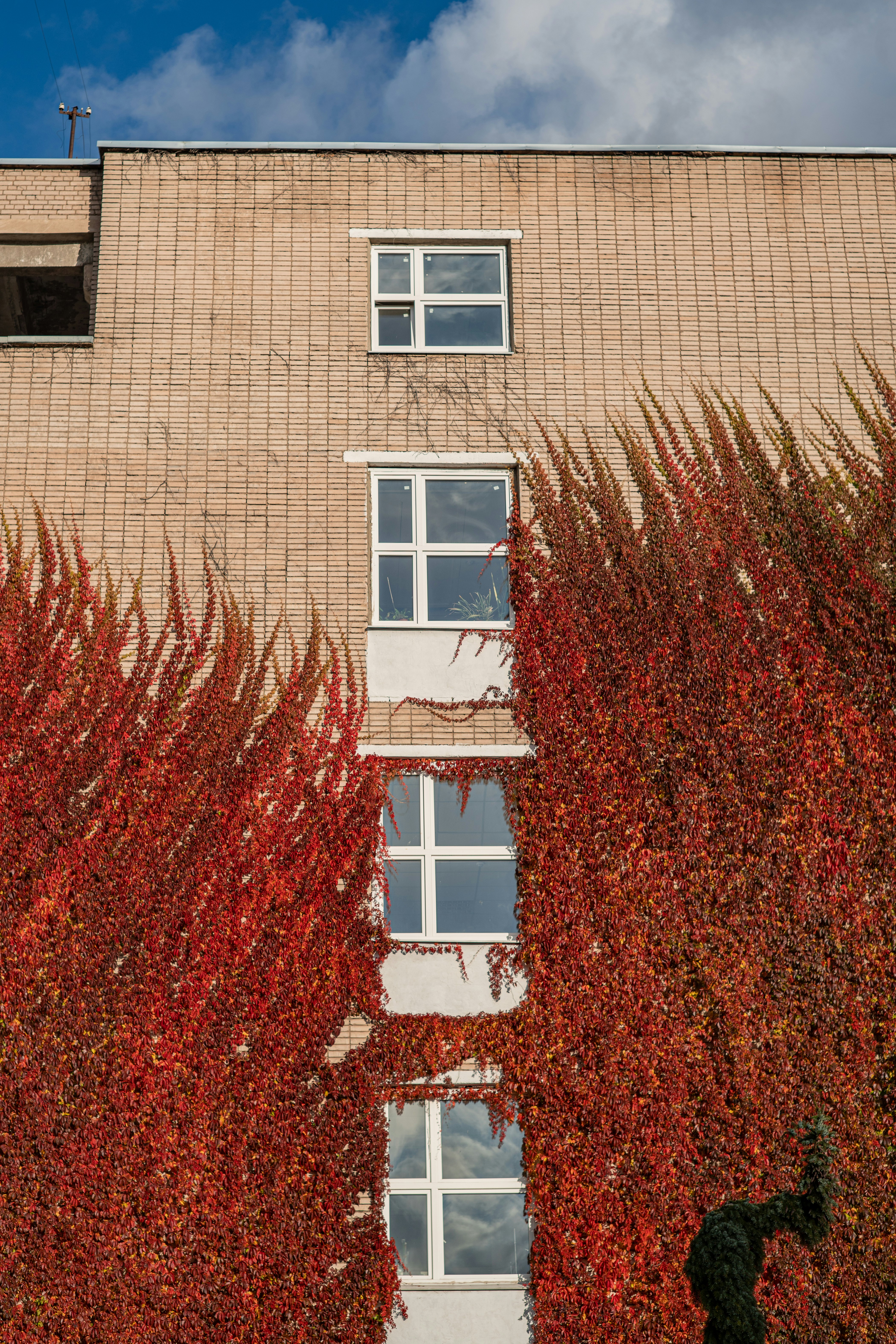 Photo by art_almighty