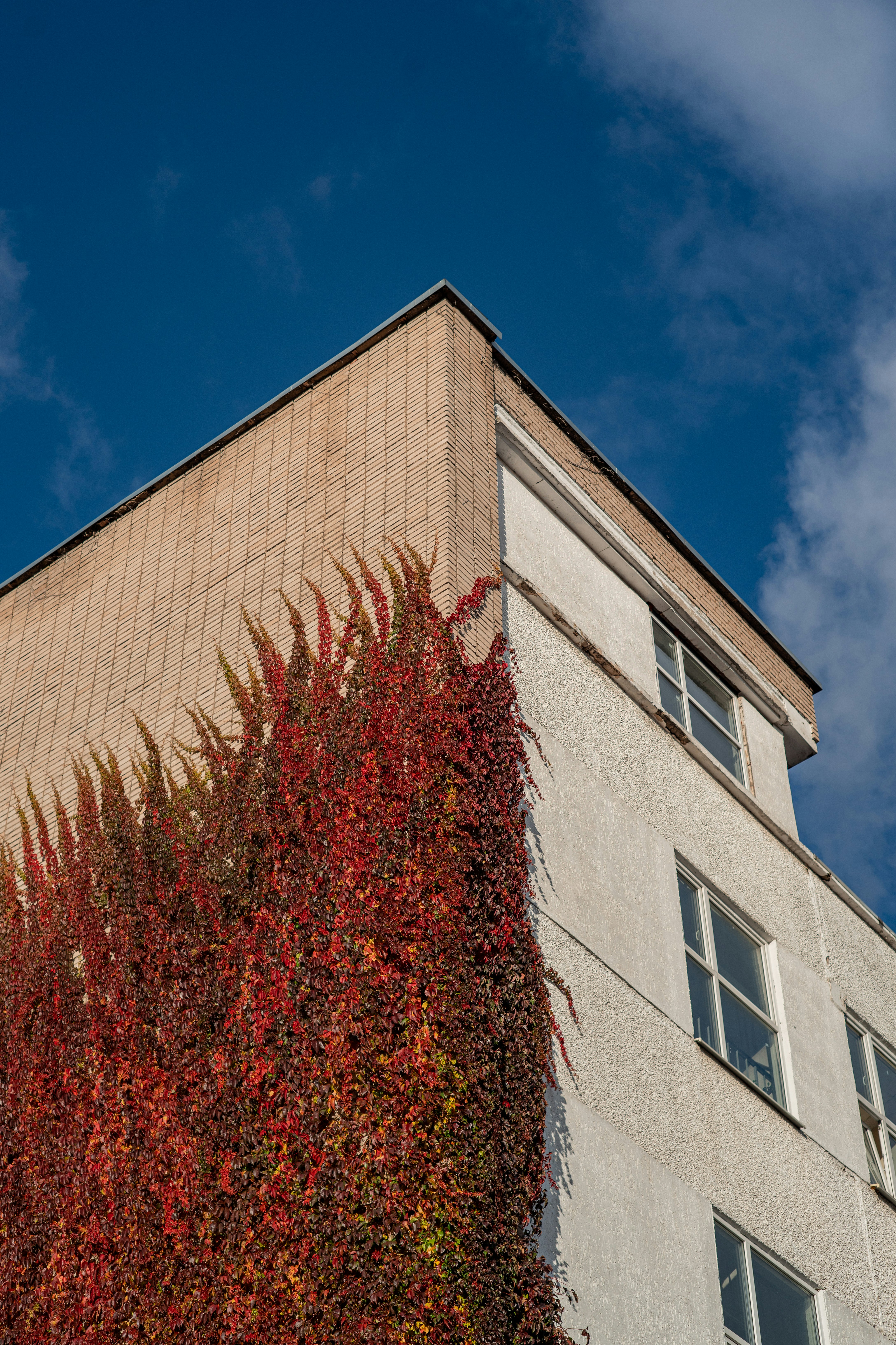 A tall building with a bunch of plants growing on the side of it