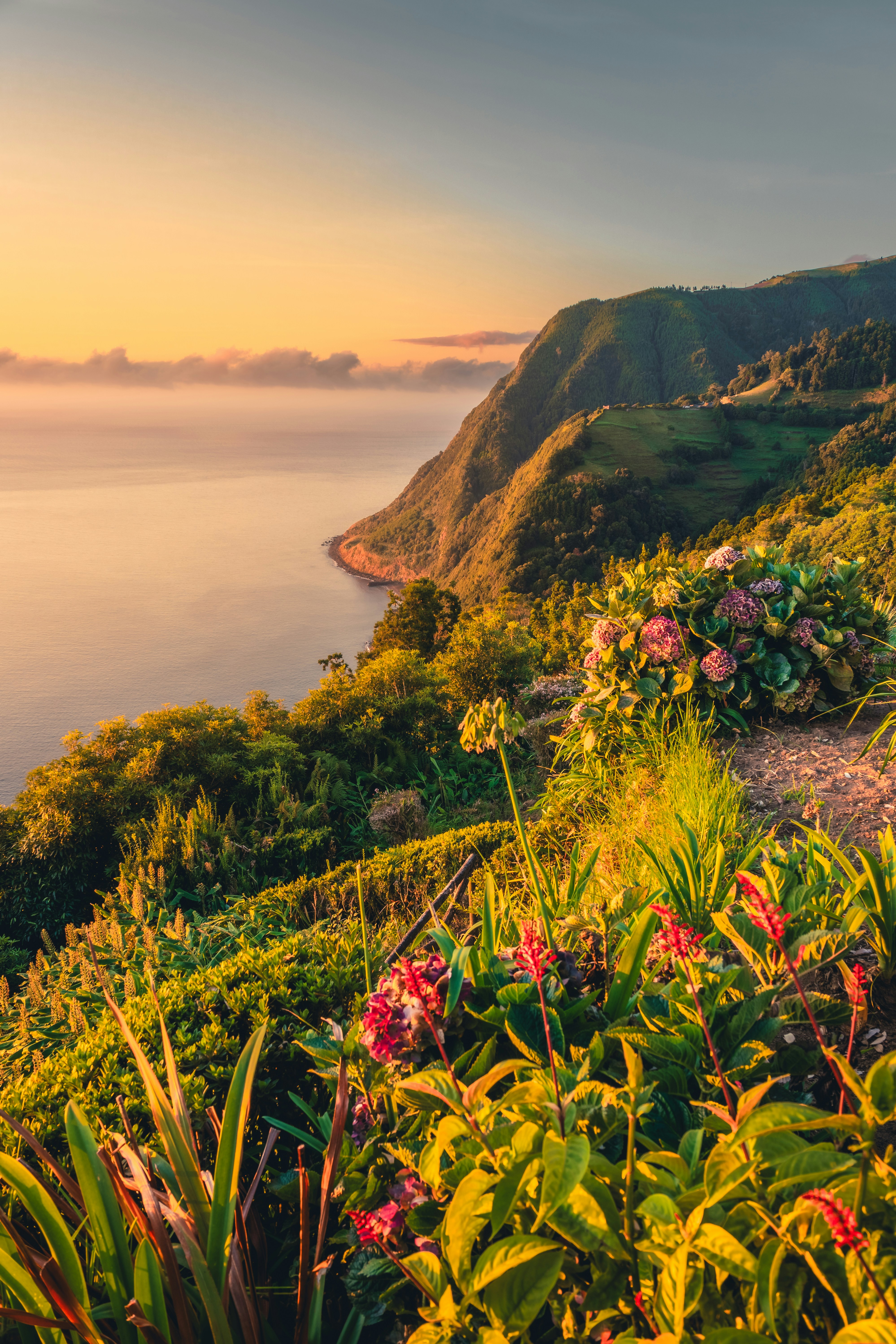 Museu do Homem do Nordeste photo 2