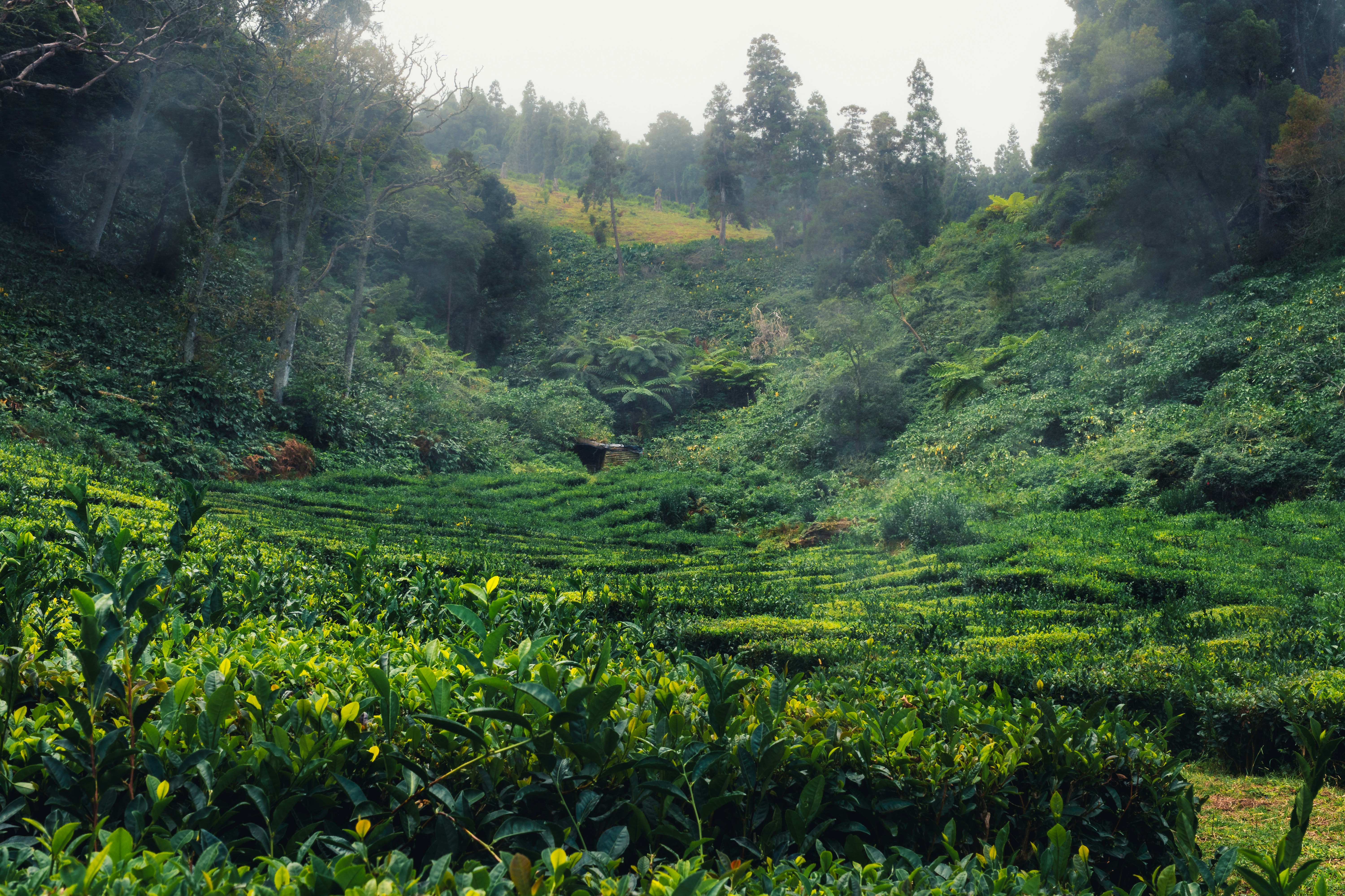 Photo by emmanuelcassar