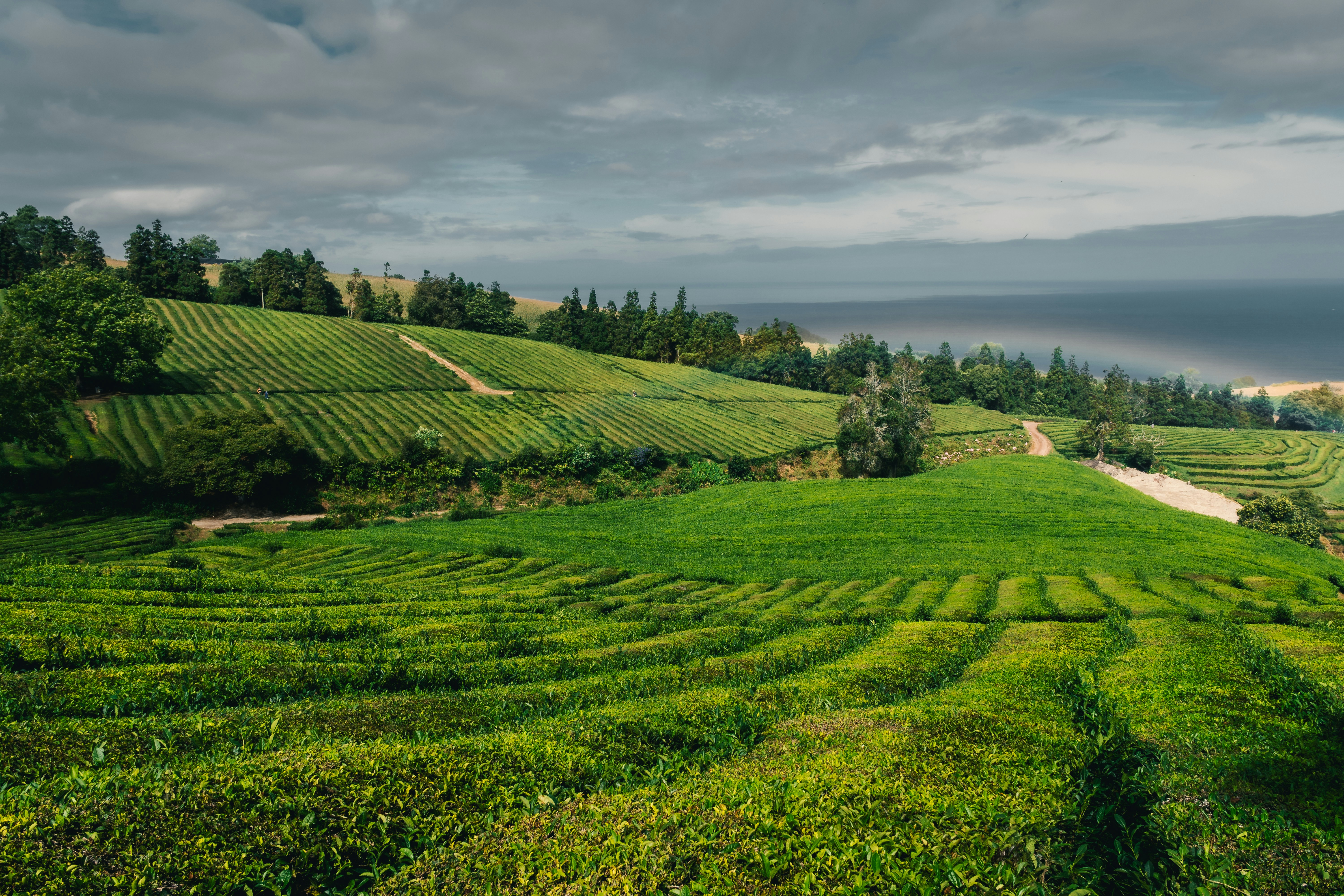 Photo by emmanuelcassar