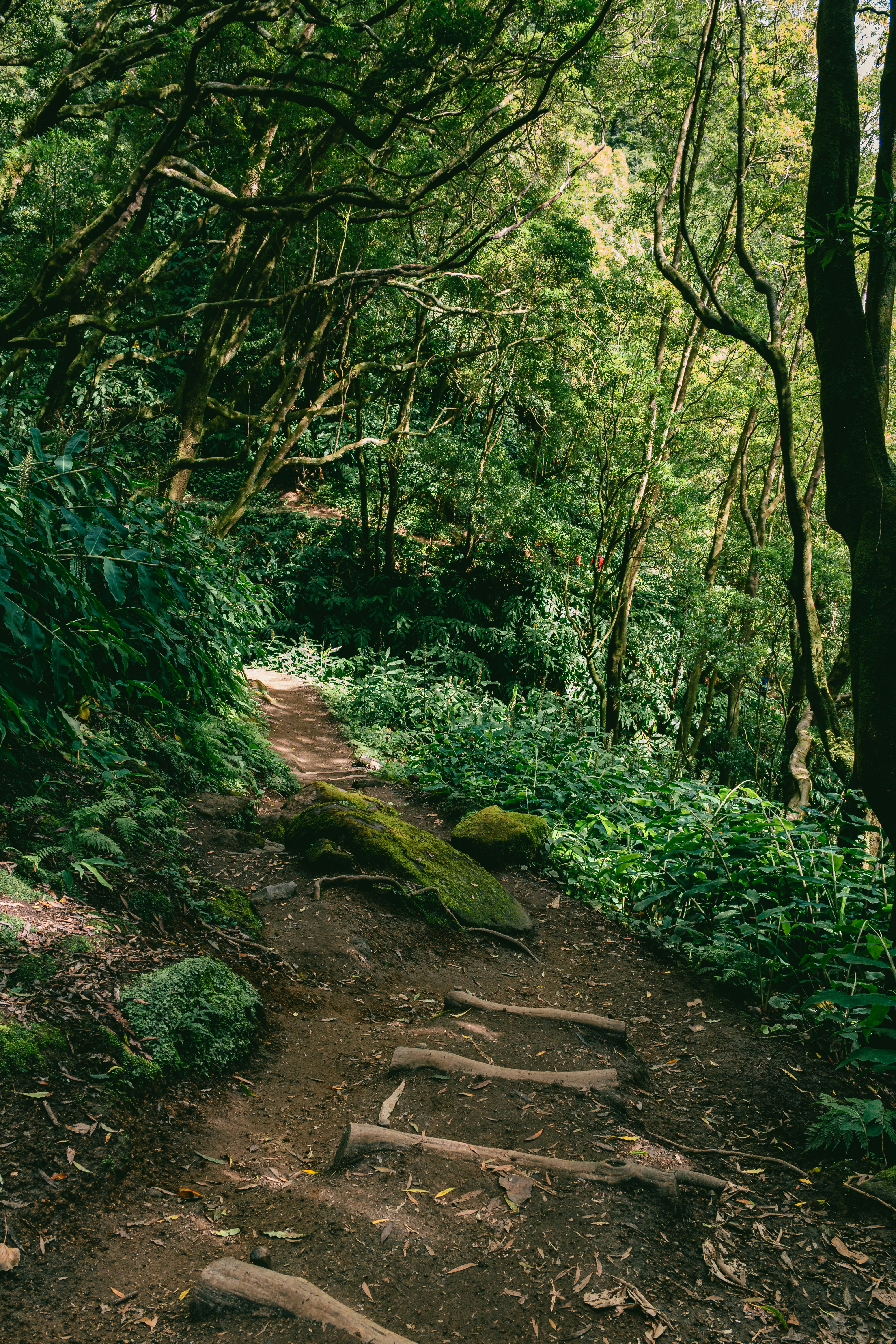 Photo by emmanuelcassar