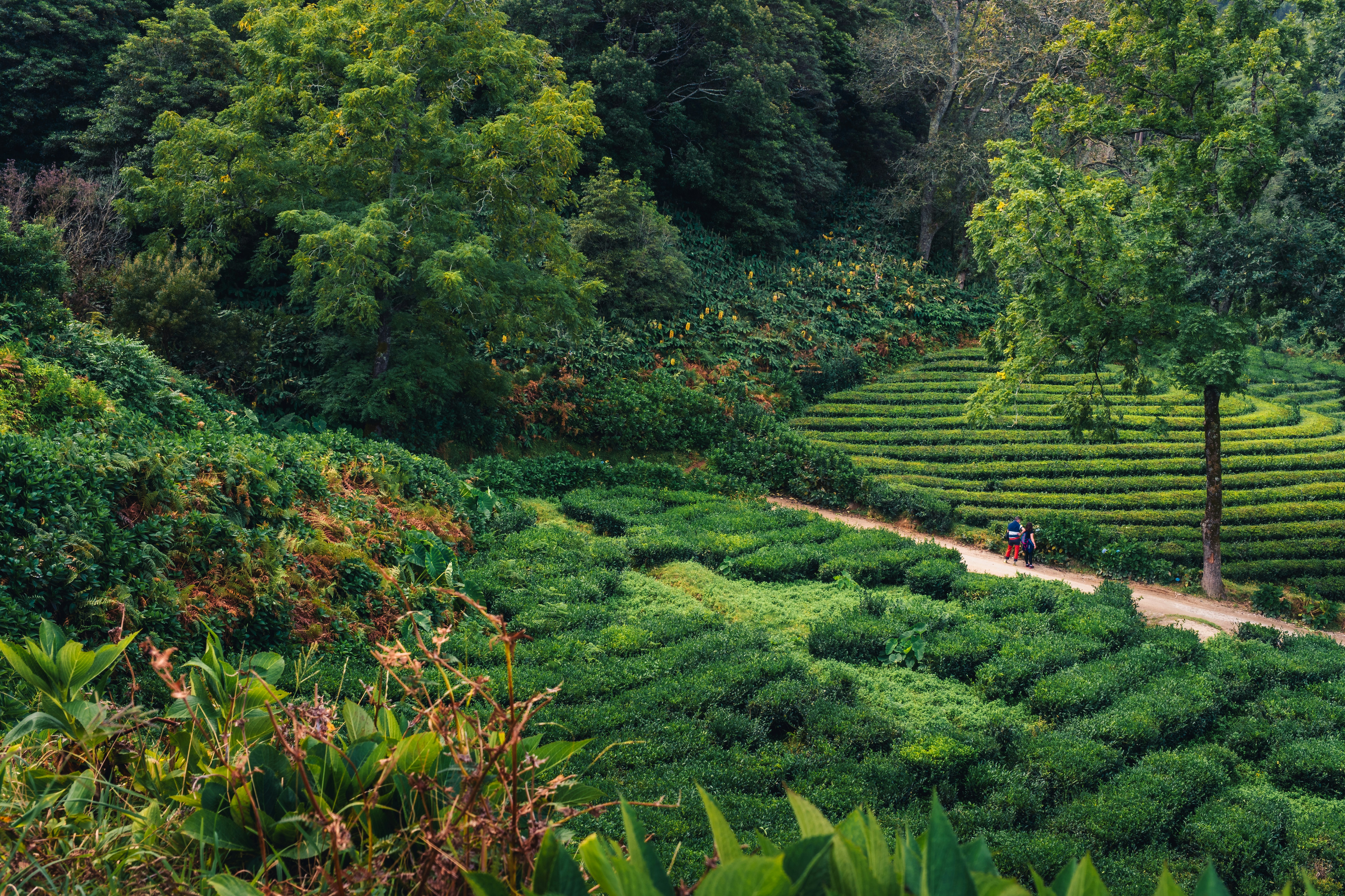 Photo by emmanuelcassar