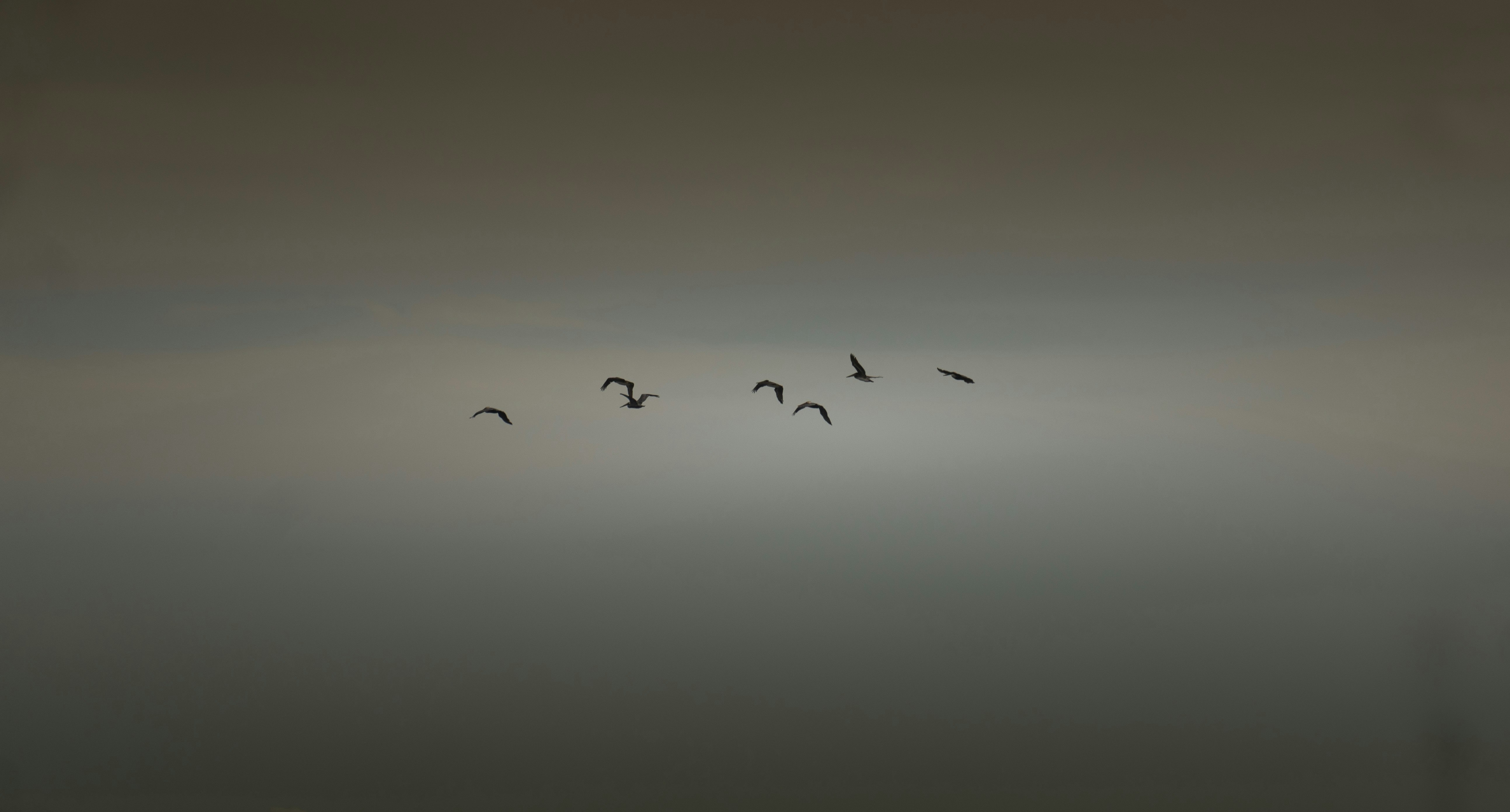 Photo by nishatsamadzai2001