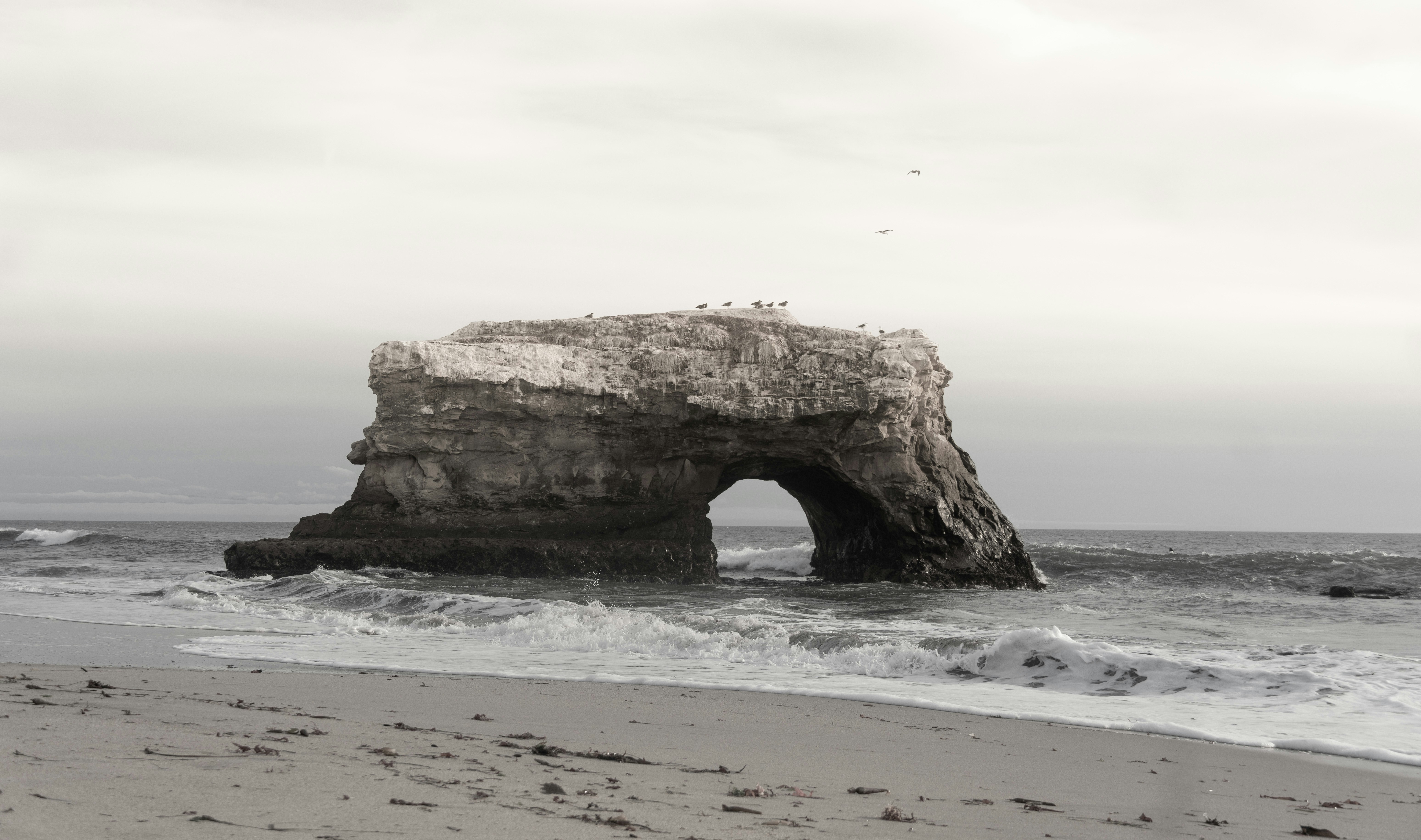 Photo by nishatsamadzai2001