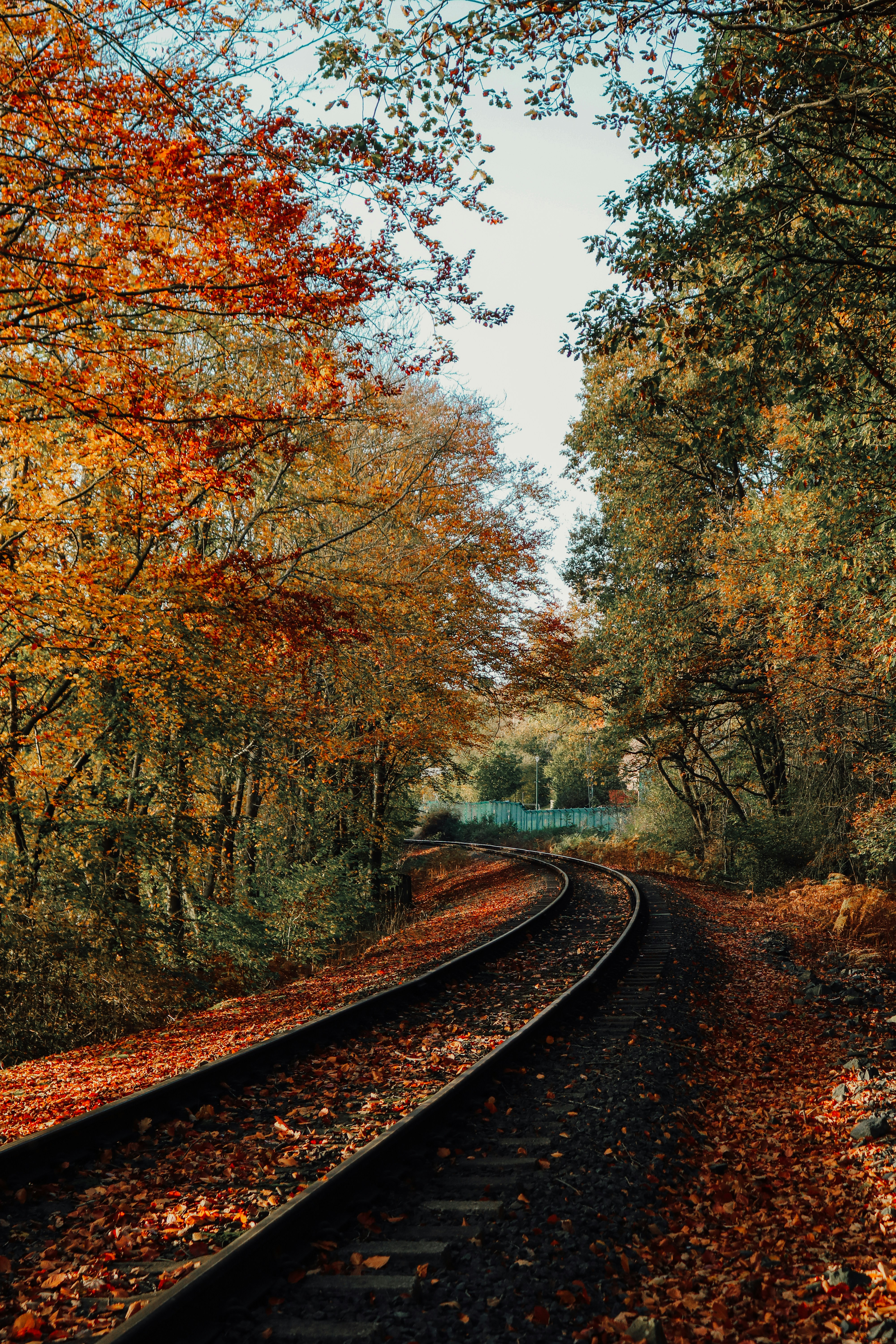 A train track in the middle of a wooded area