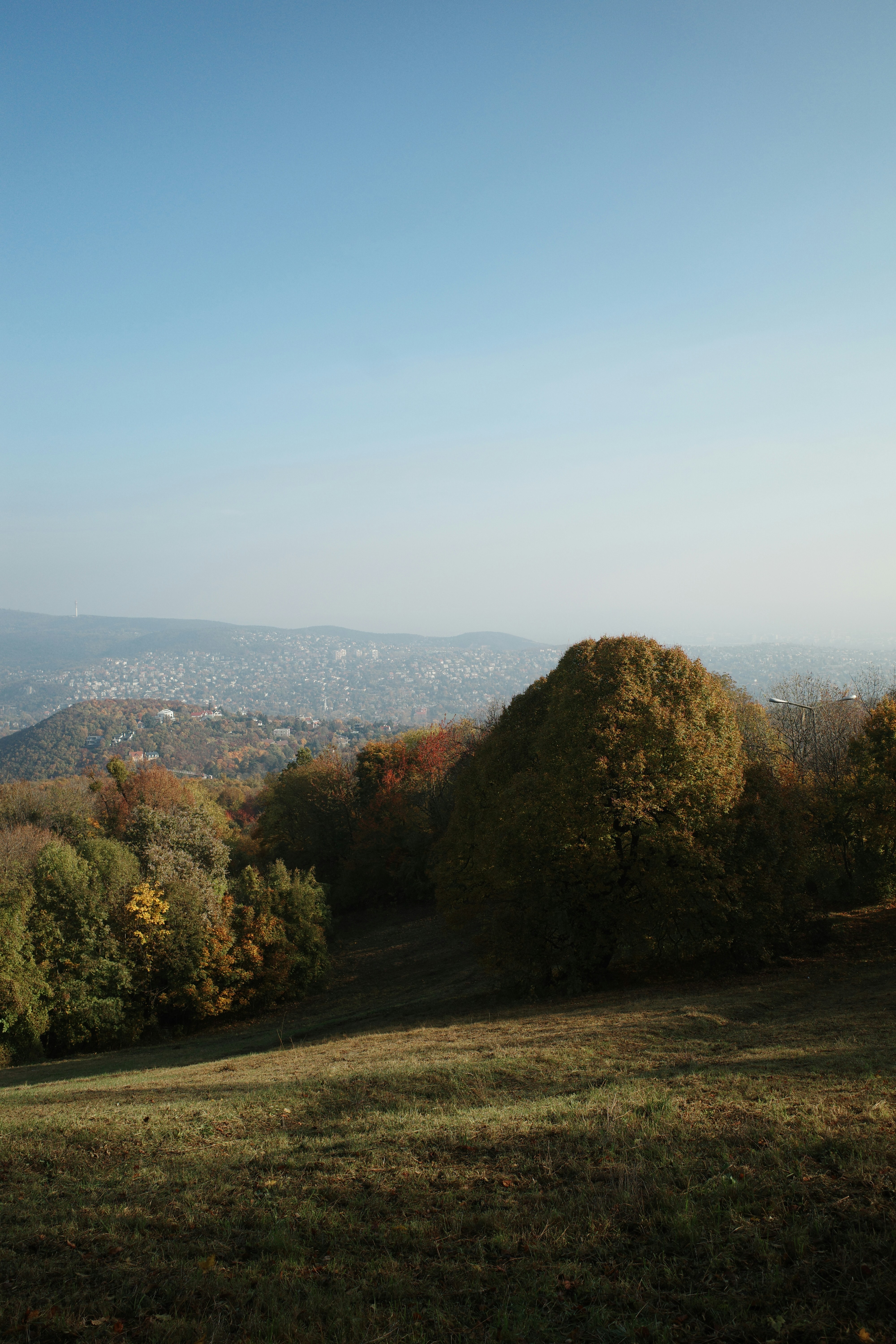 Photo by stachmann