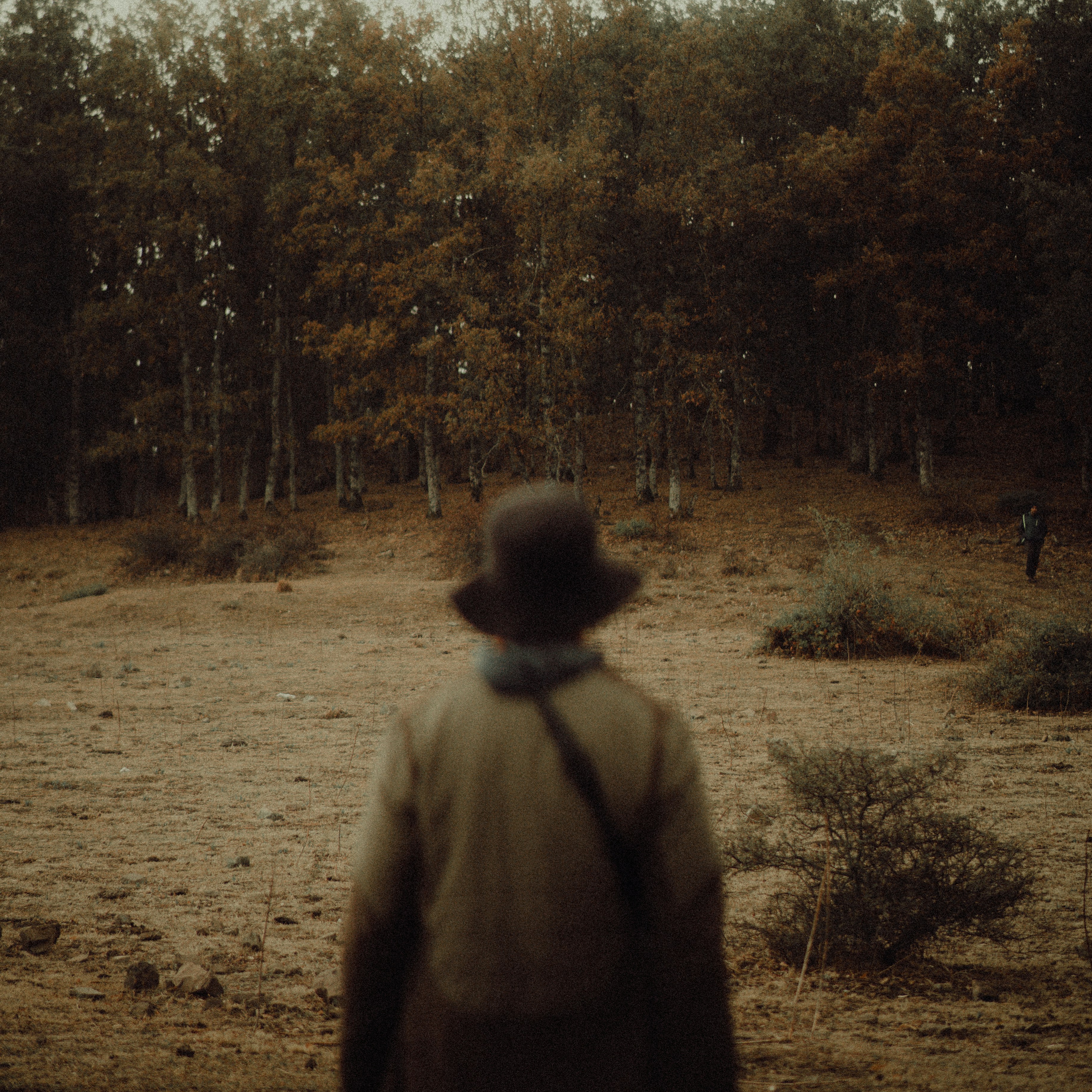 A person standing in a field with trees in the background