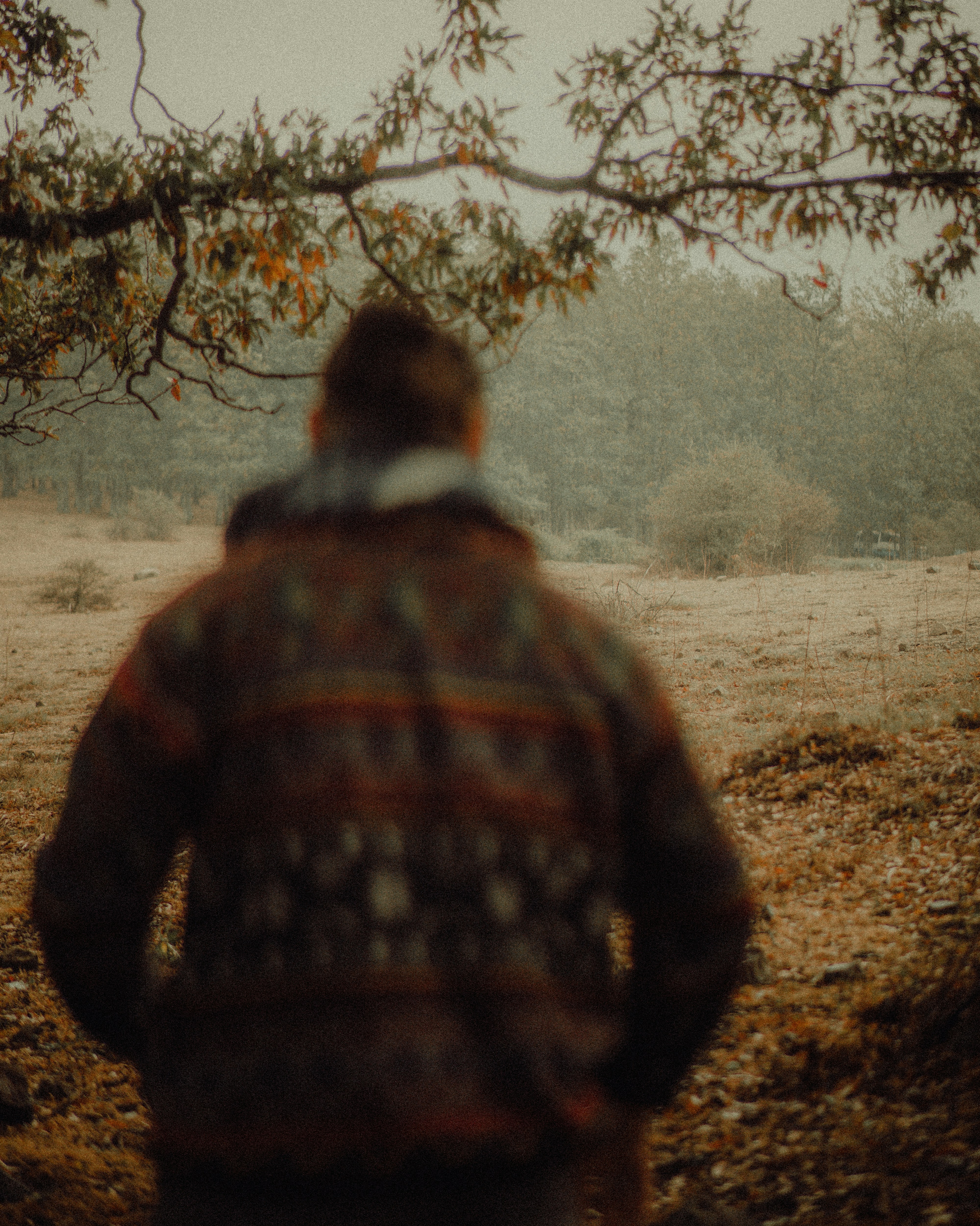 A man standing under a tree in a field