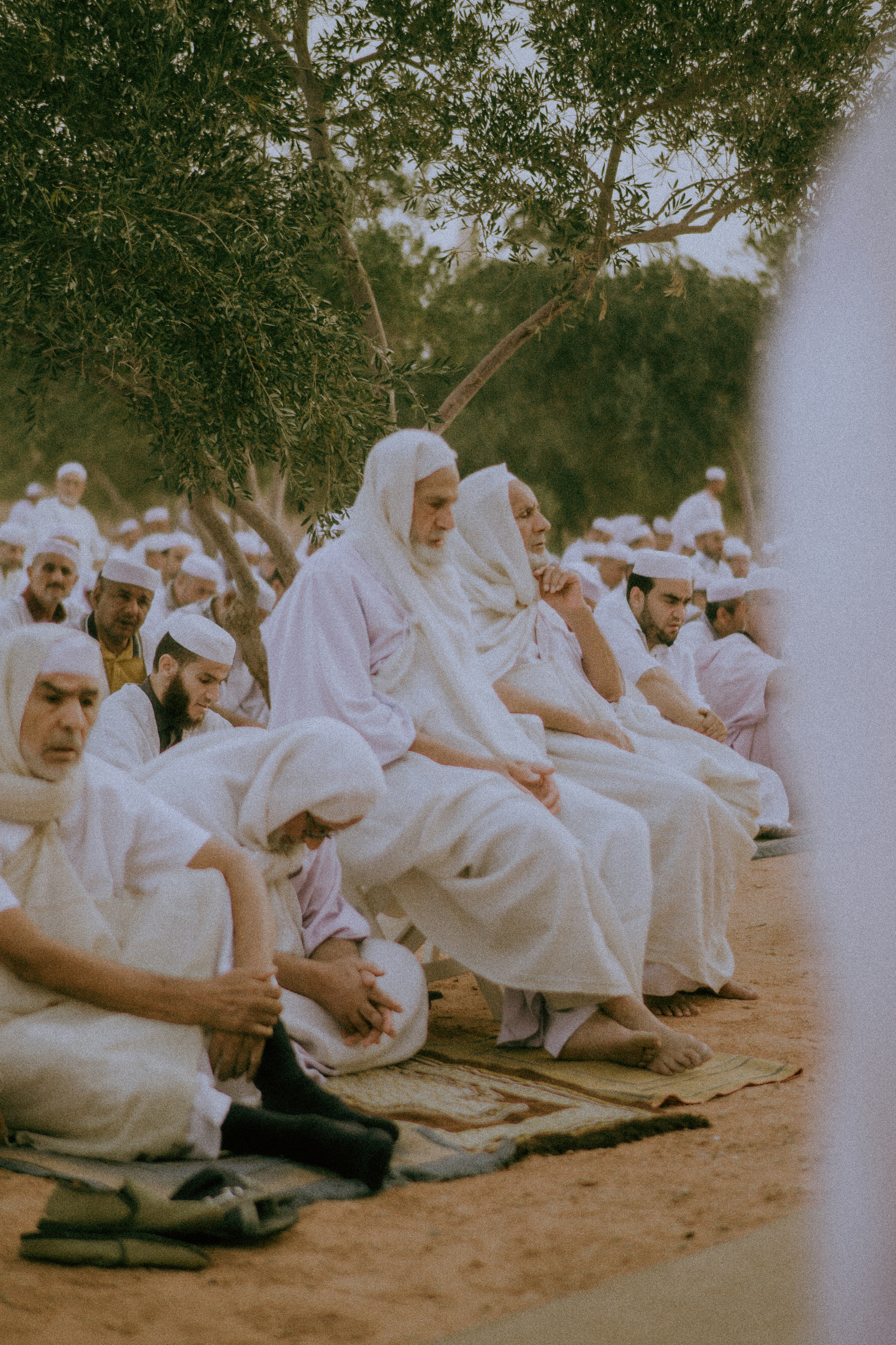 A group of people sitting on top of a blanket