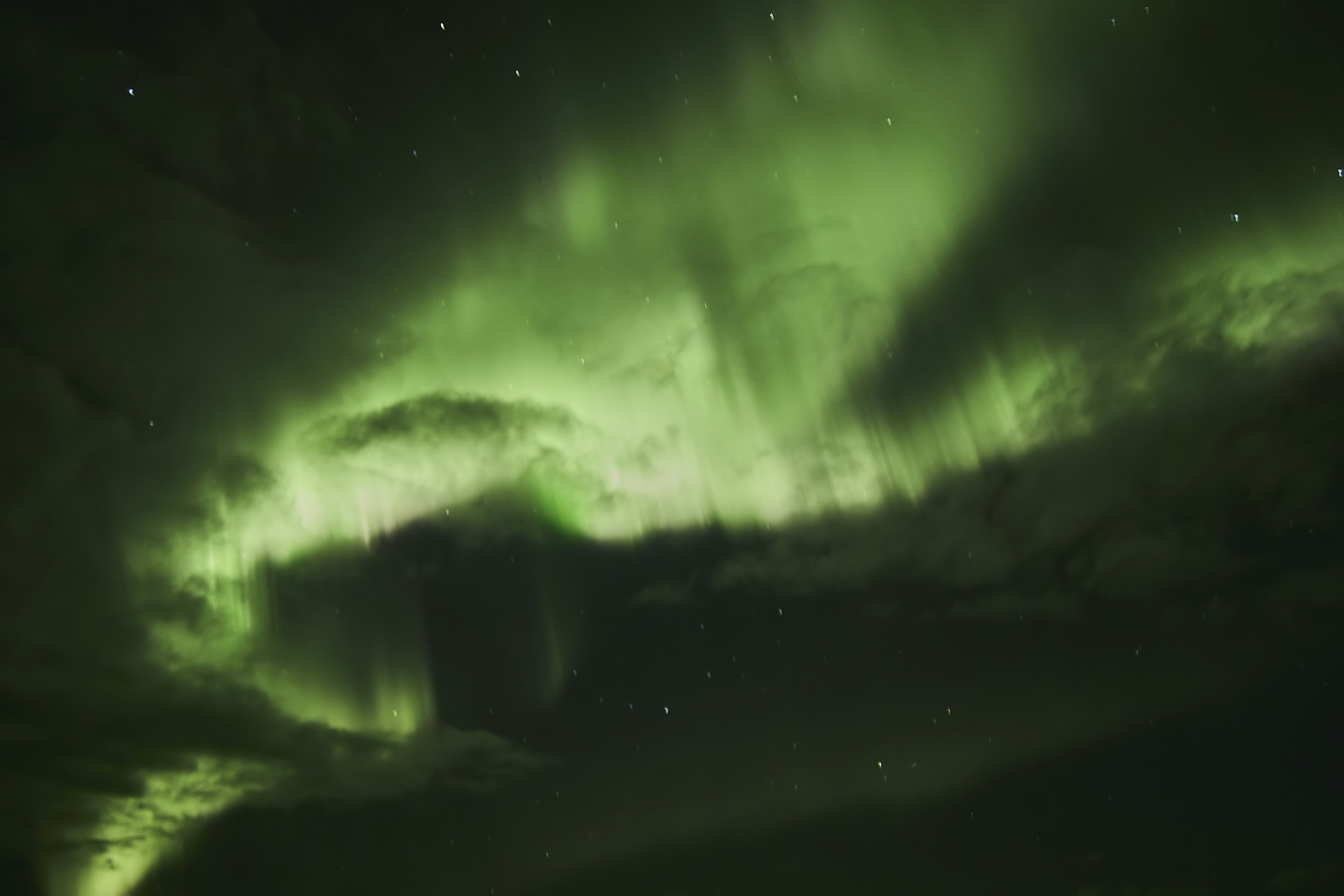 Photo by wolfgang_hasselmann