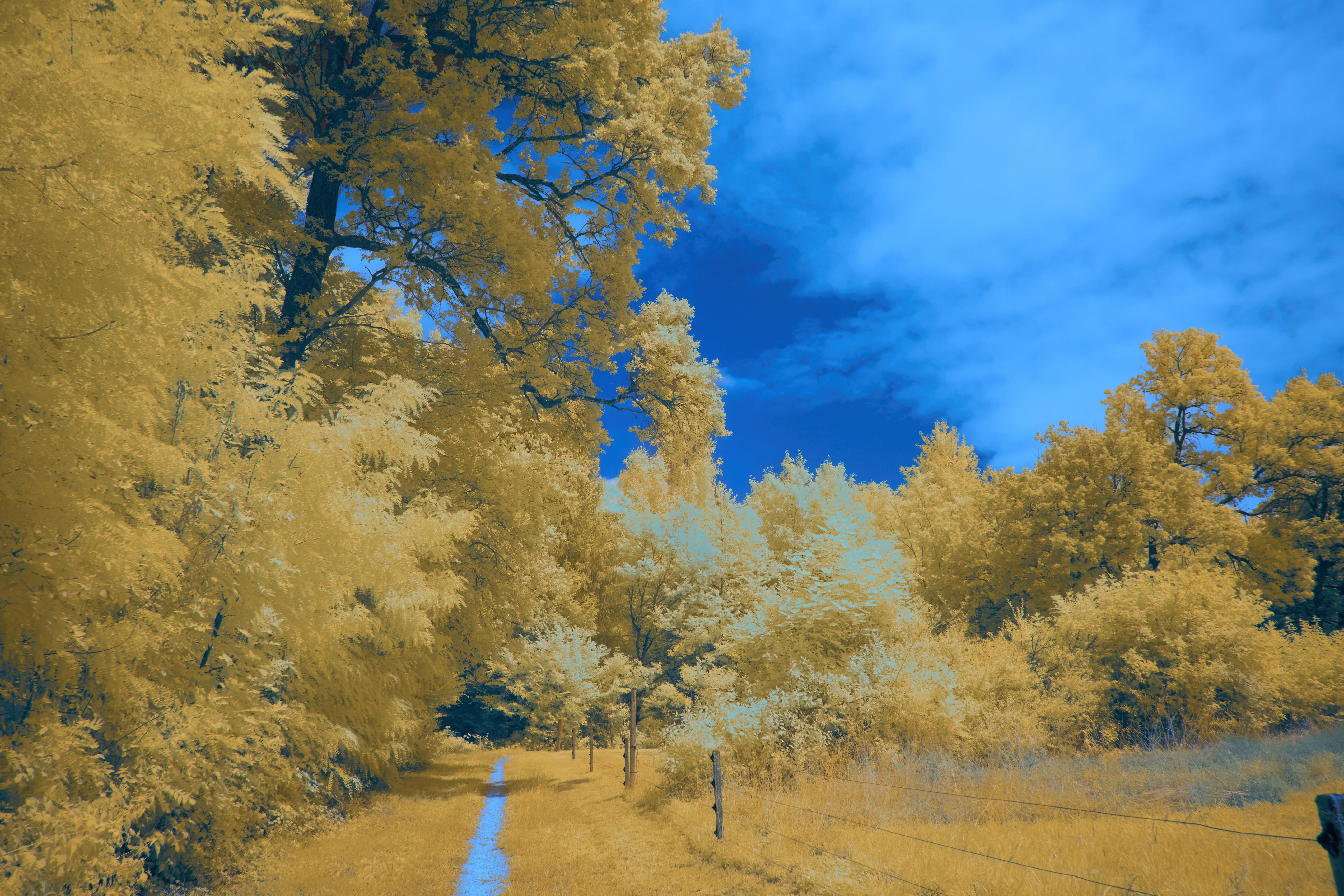 Photo by wolfgang_hasselmann