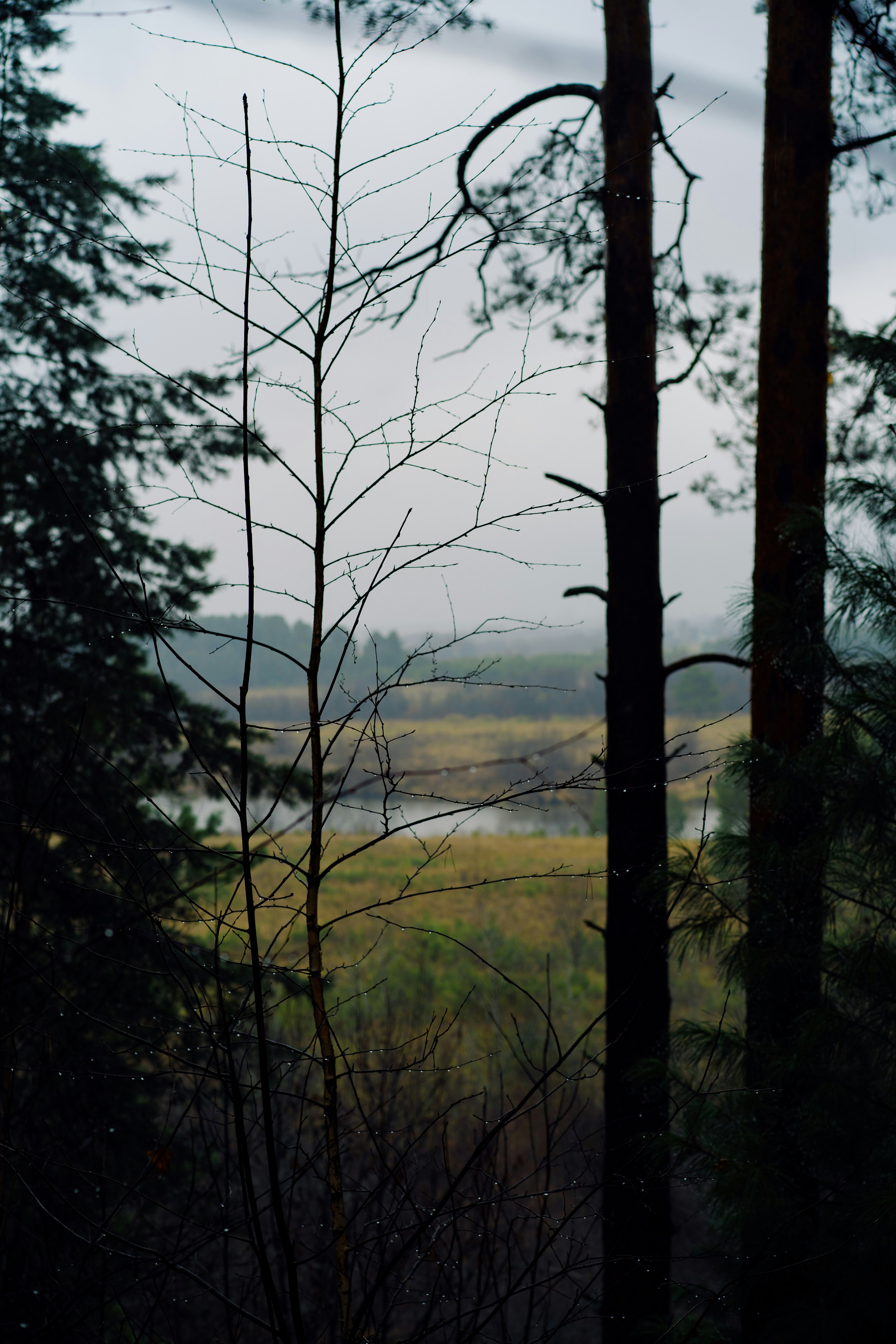 Photo by anamnesis33