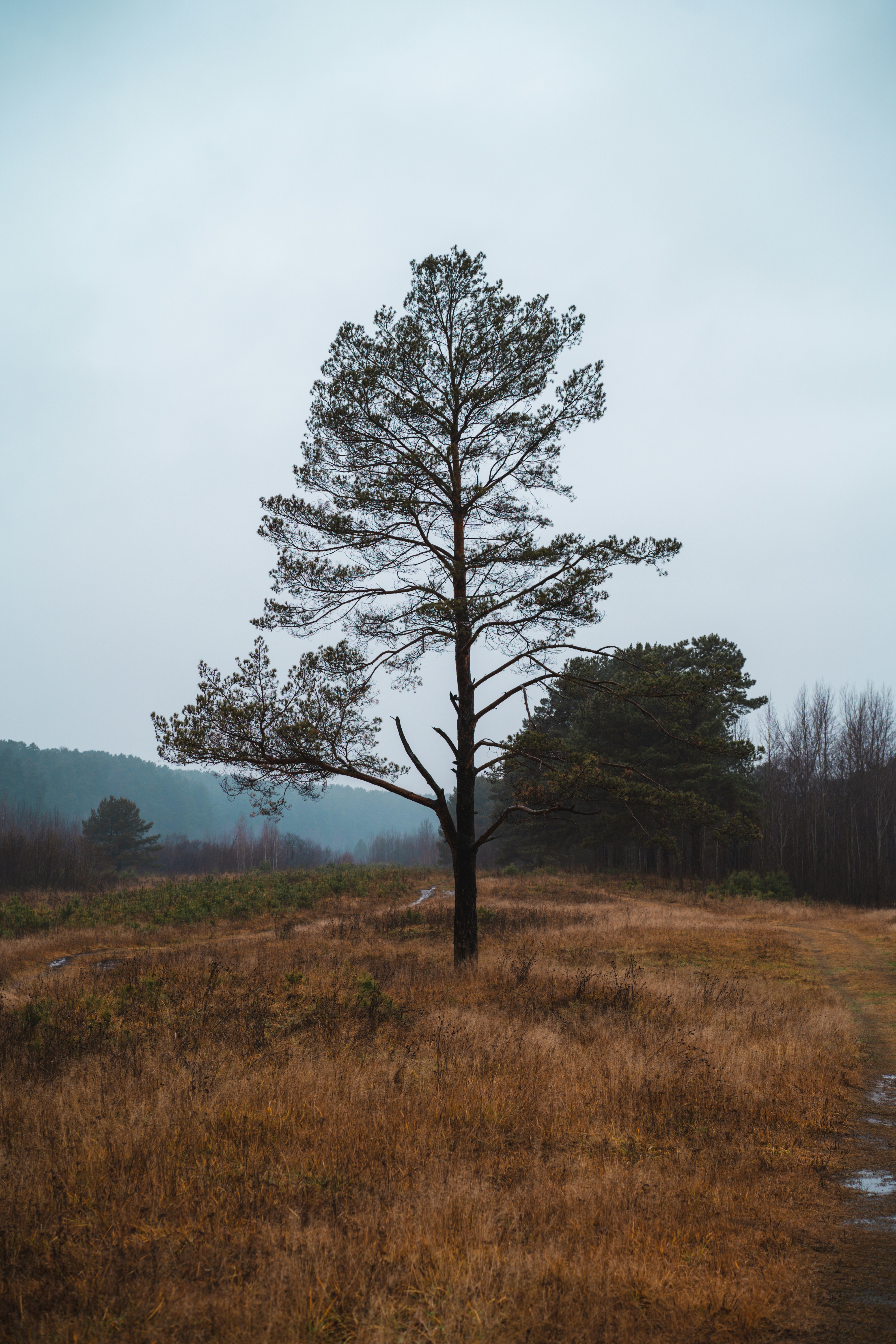 Photo by anamnesis33