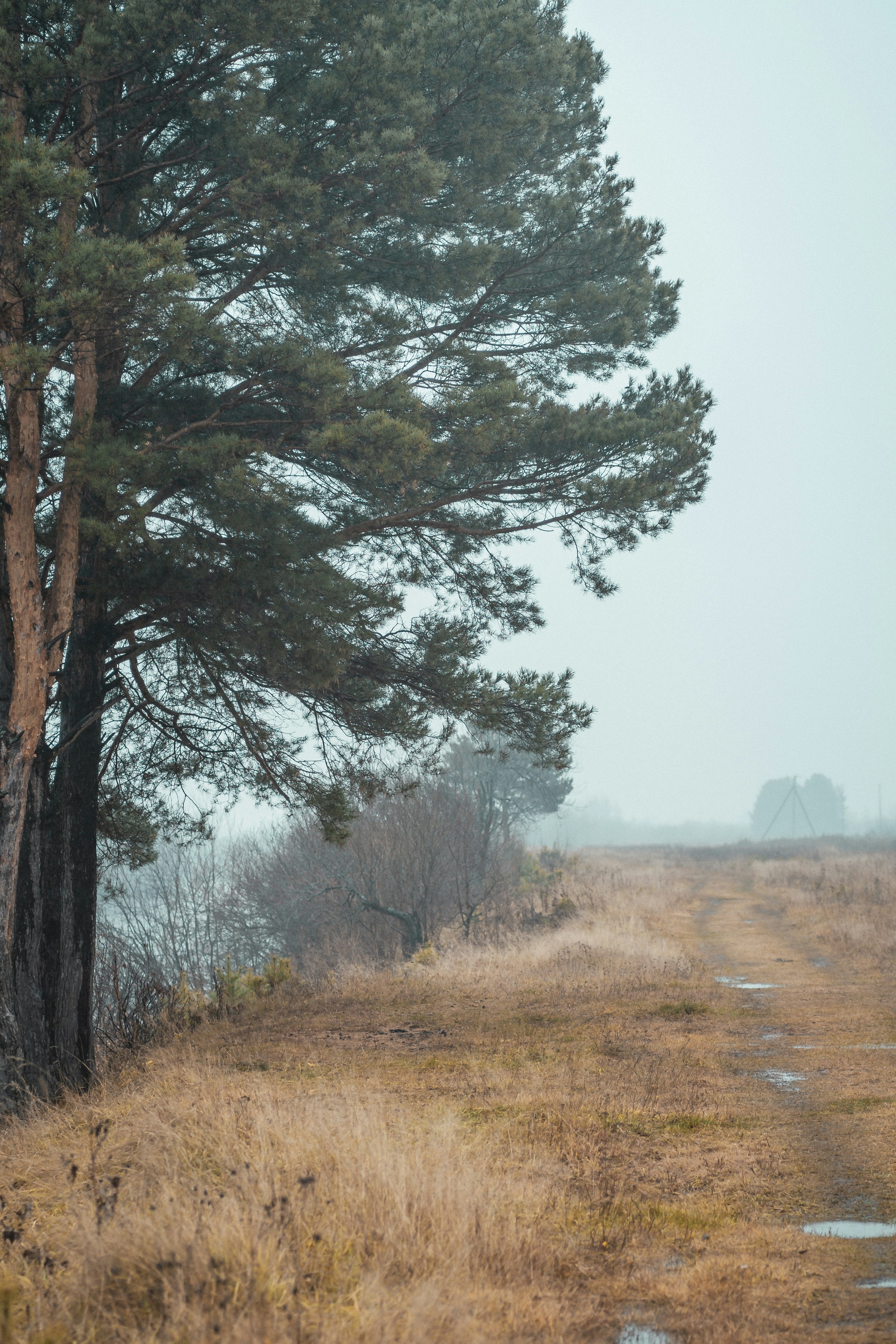 Photo by anamnesis33