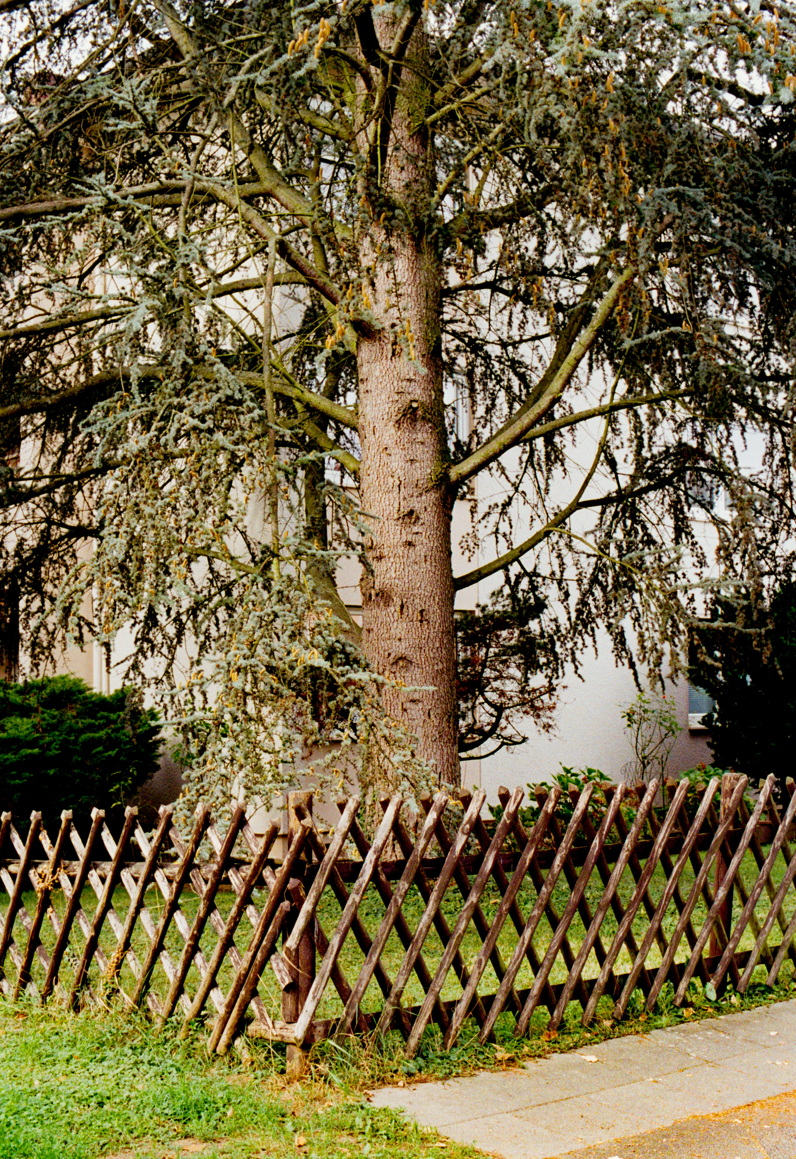 Photo by chrisvomradio