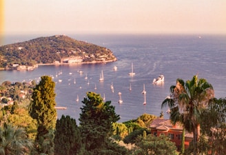 A large body of water surrounded by trees