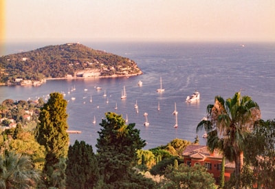 A large body of water surrounded by trees