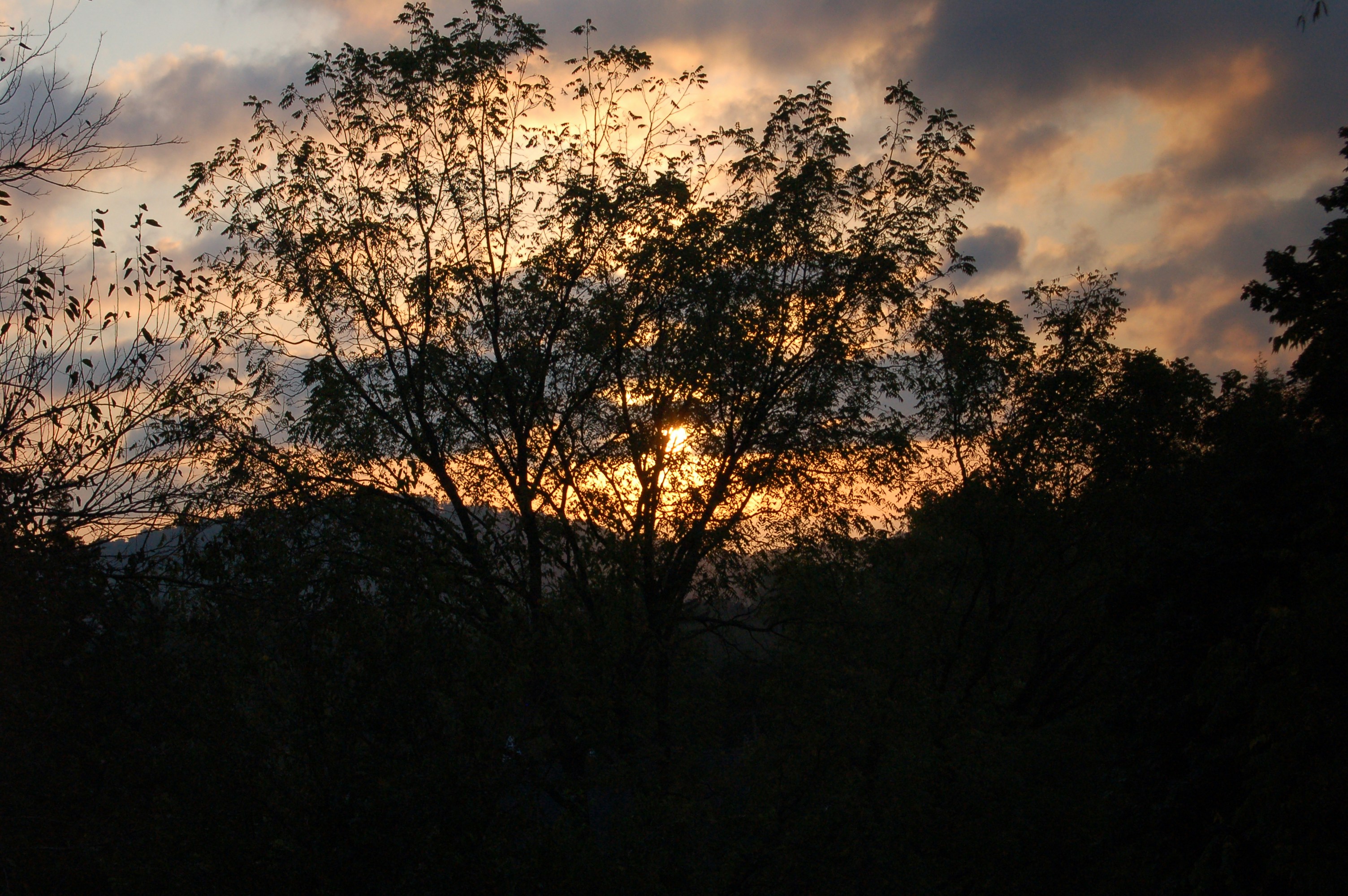 Photo by godsownfool