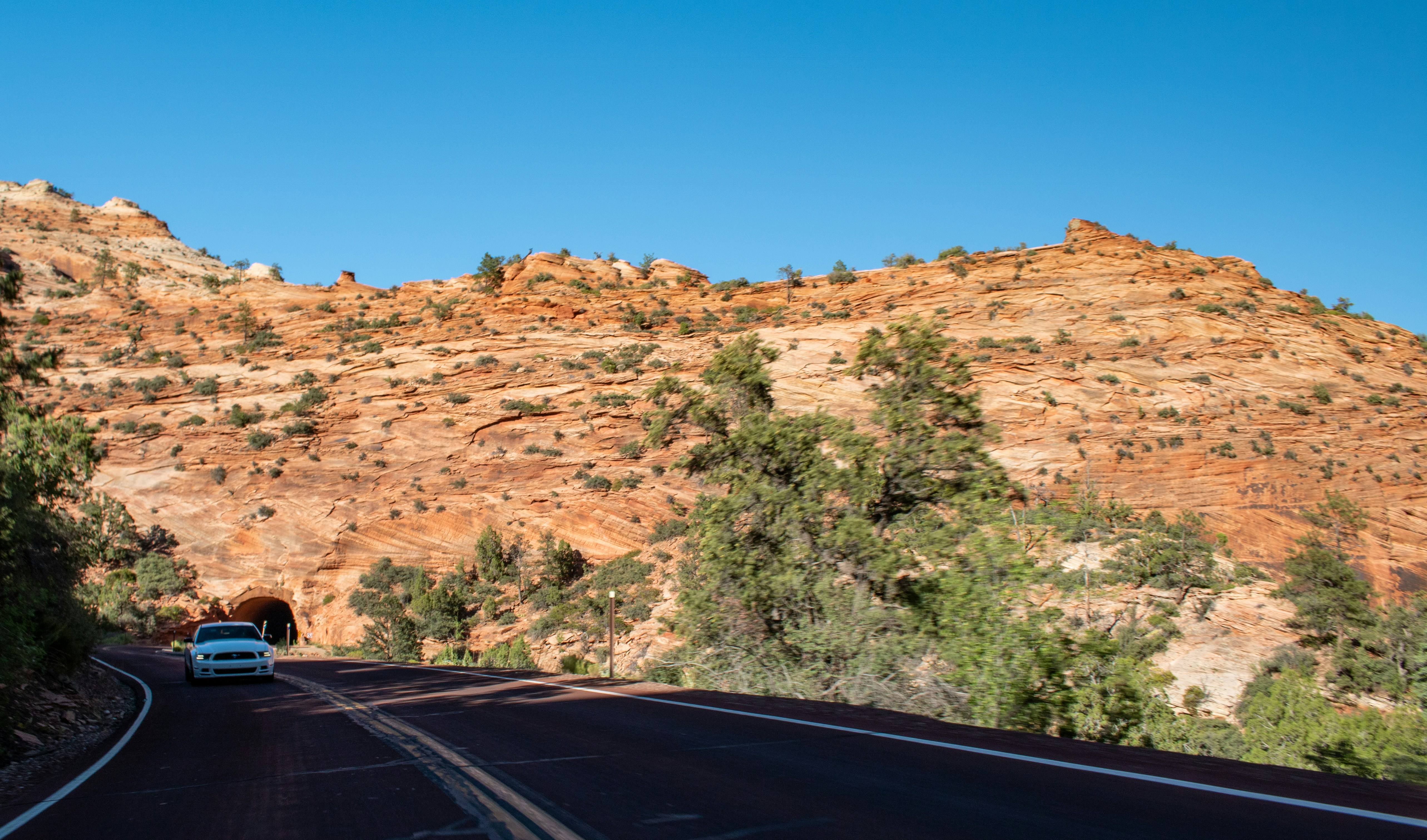 Photo by zoshuacolah