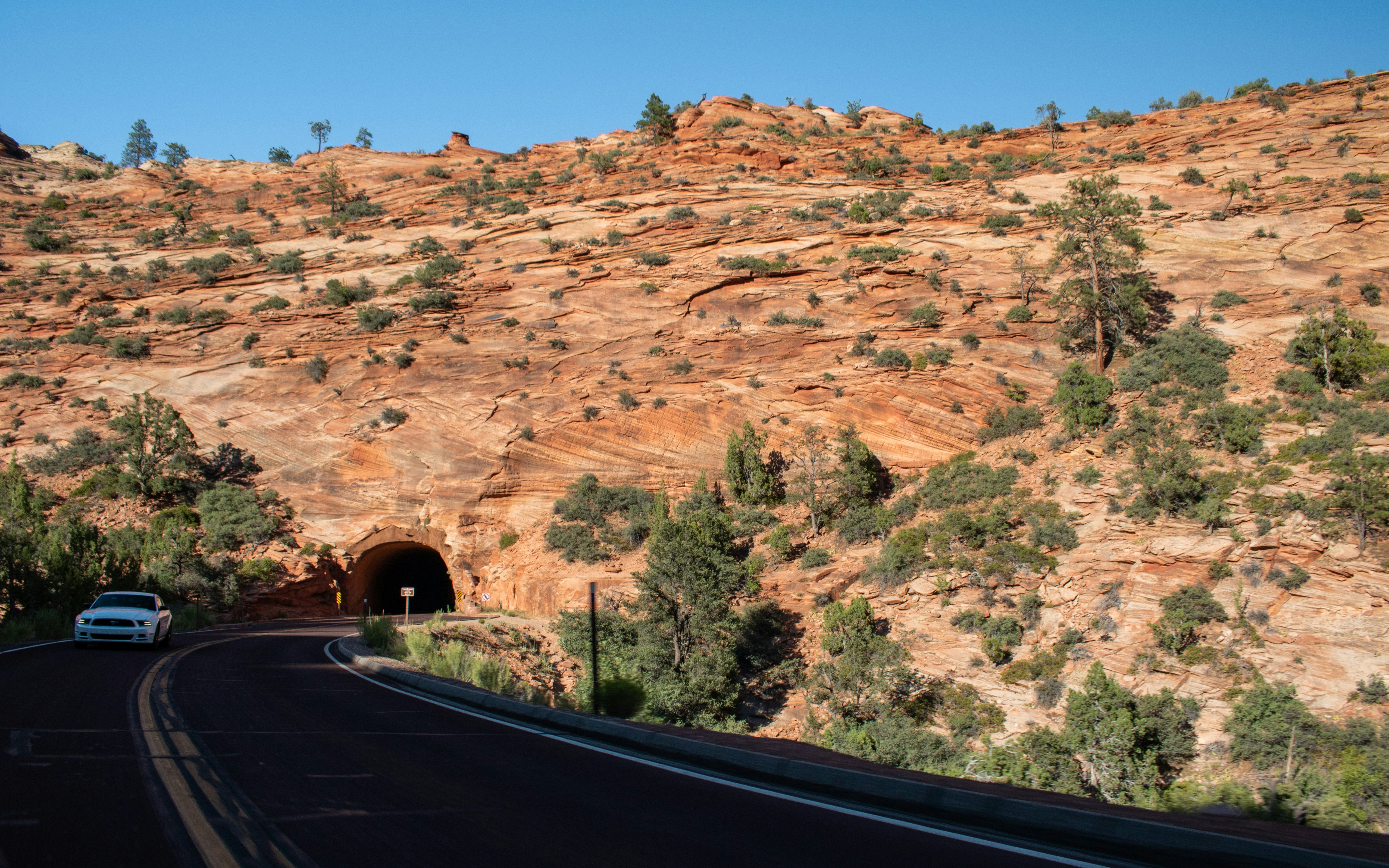 Photo by zoshuacolah