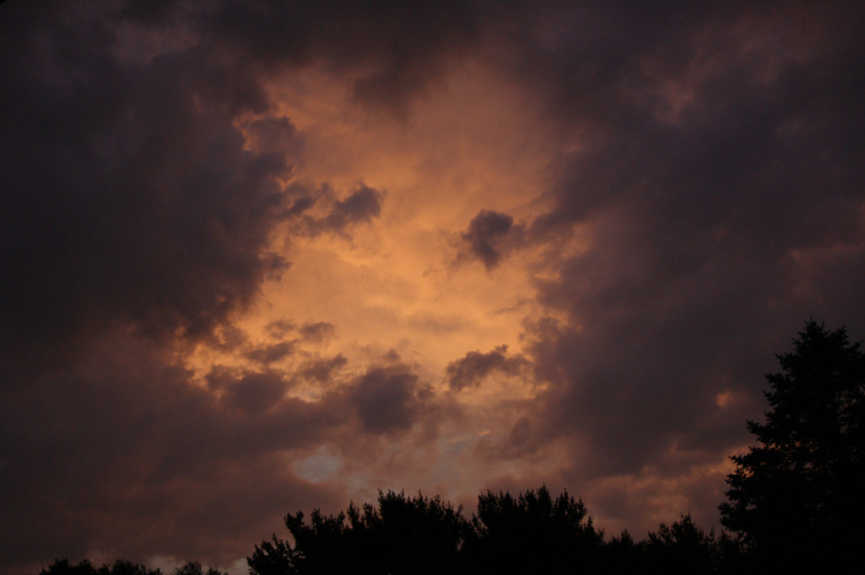 Photo by godsownfool