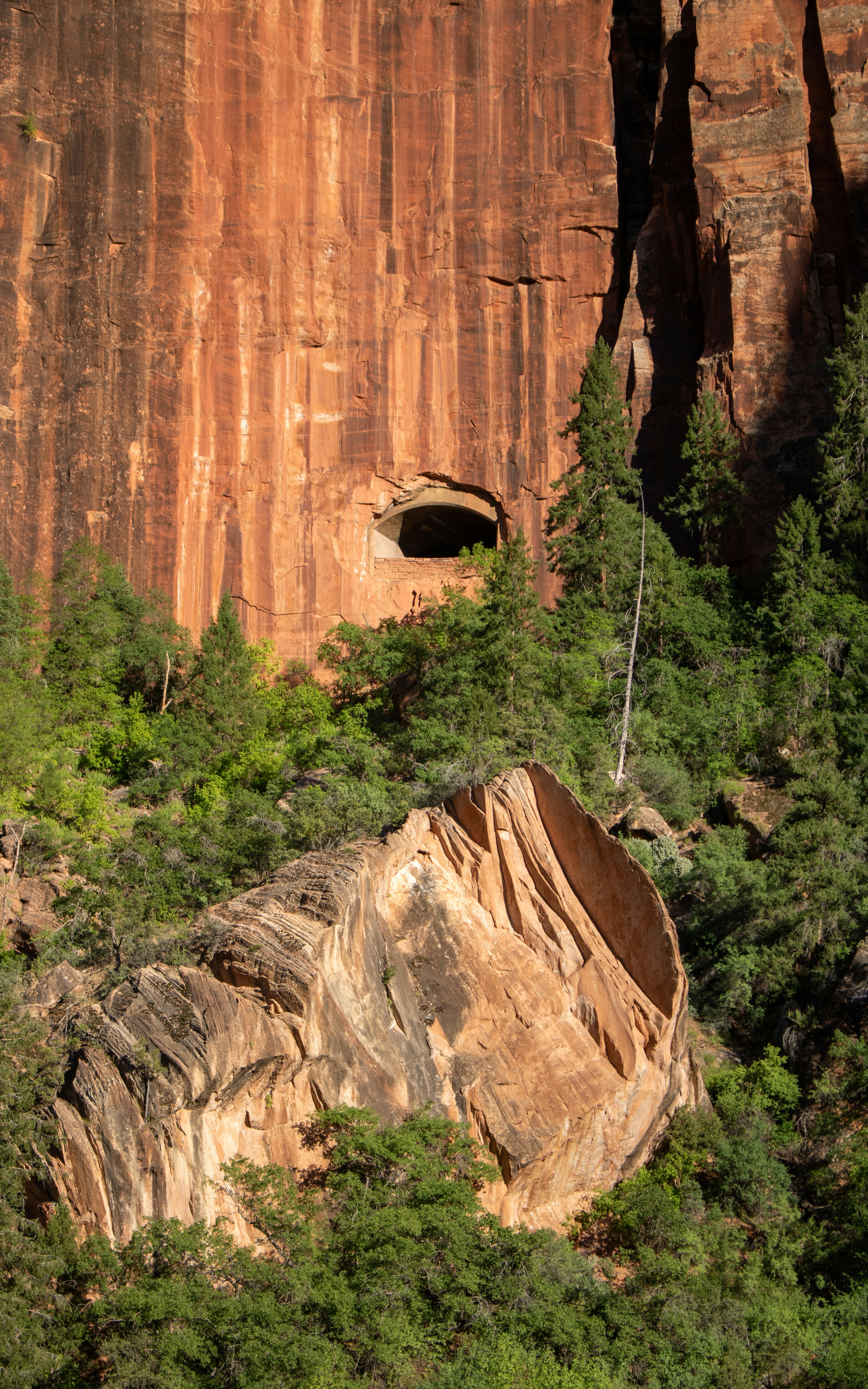 Giant Mountain Face showing different shades of orange and weathering in Zion National Park, Utah, USA.