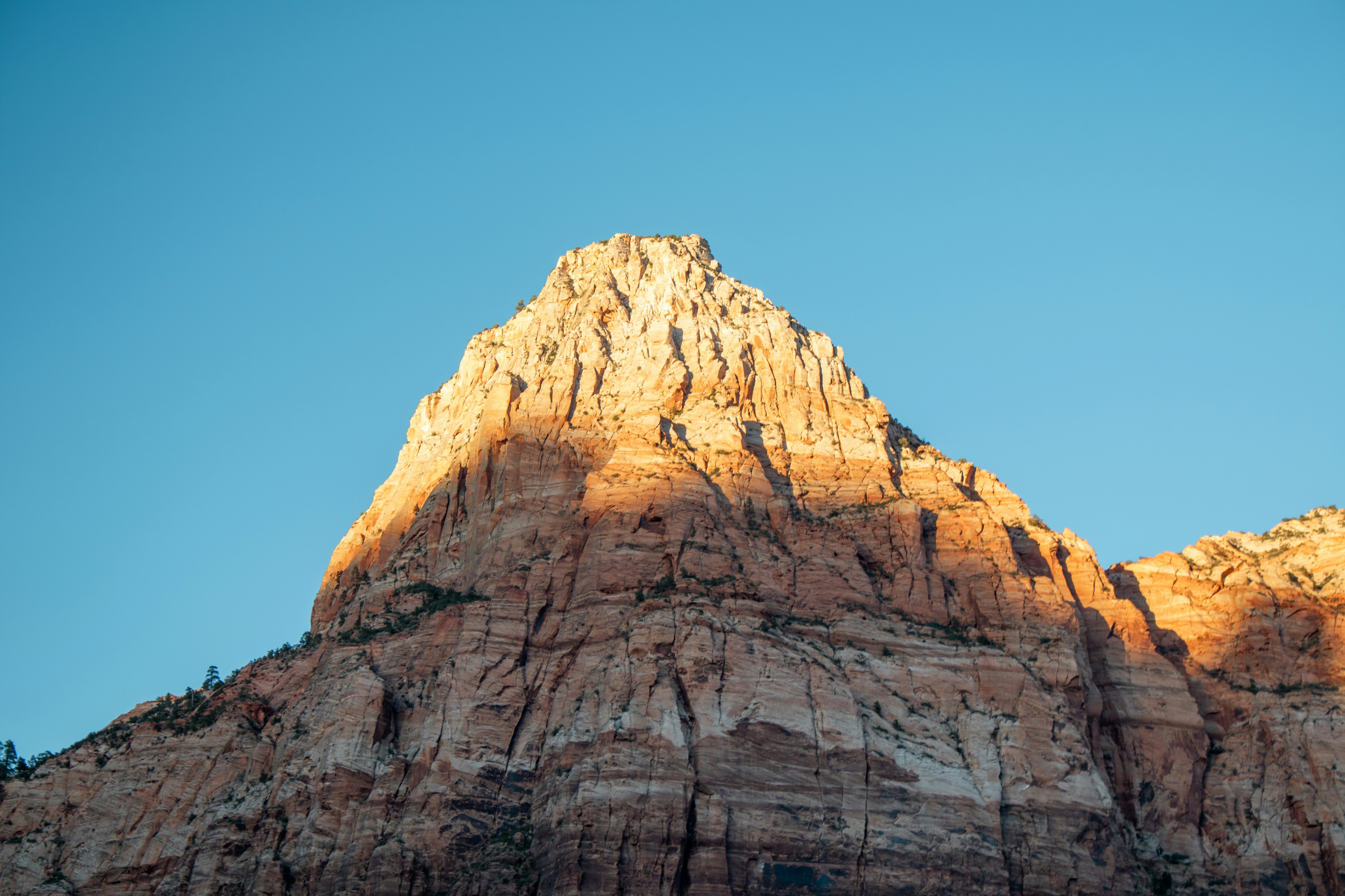 Photo by zoshuacolah