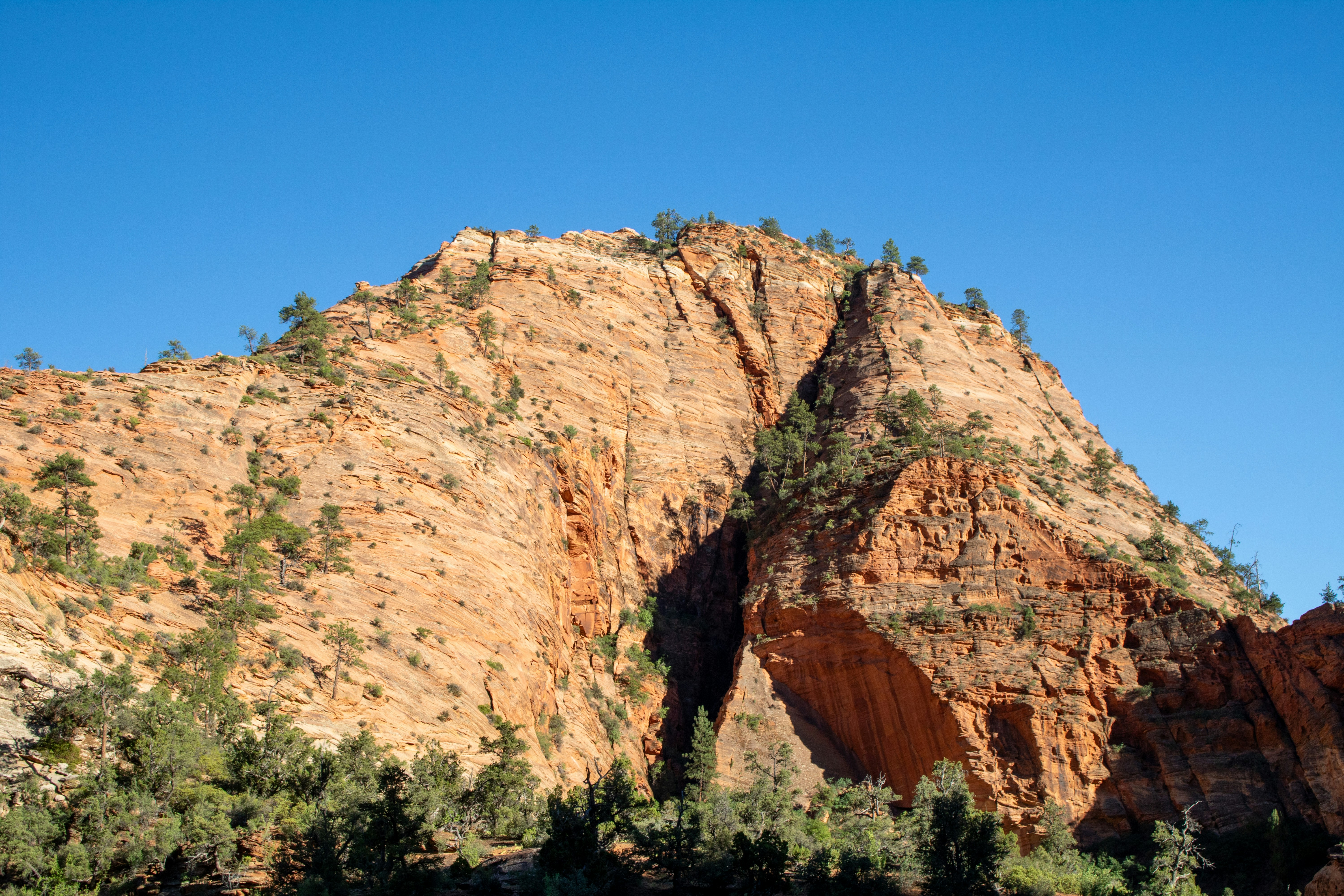 Photo by zoshuacolah