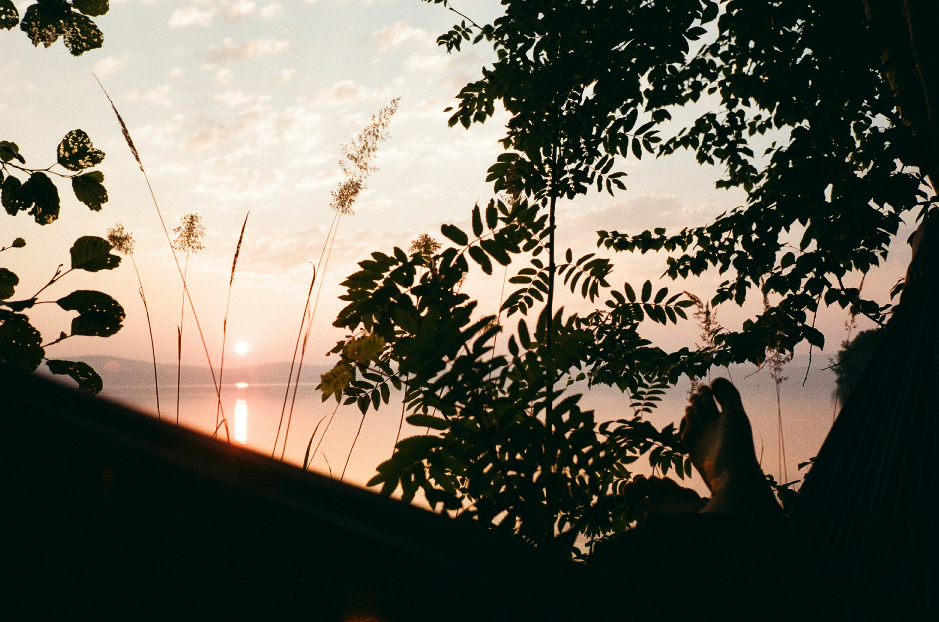 Photo by dinaamazing